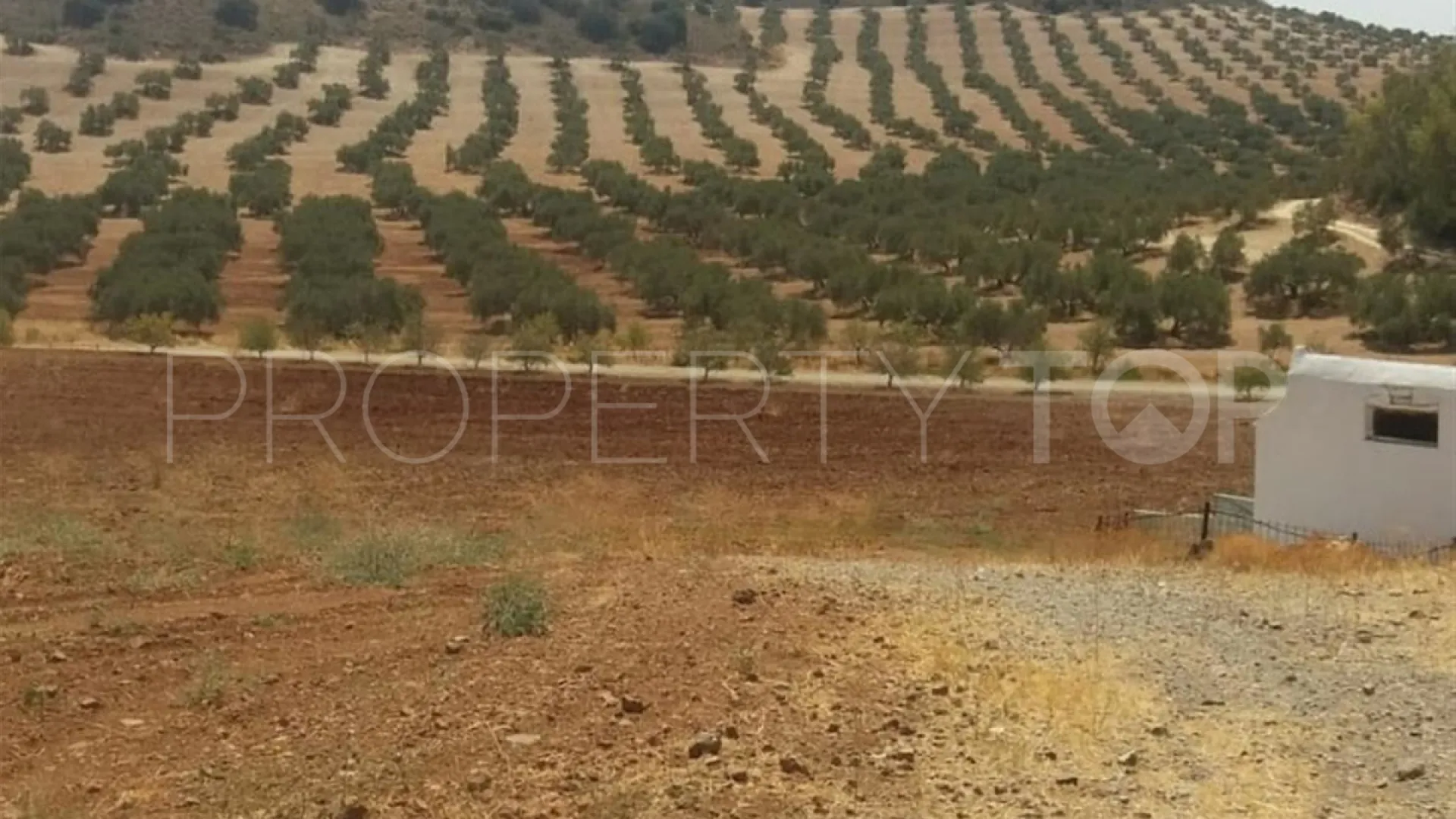 Finca with 8 bedrooms for sale in Antequera