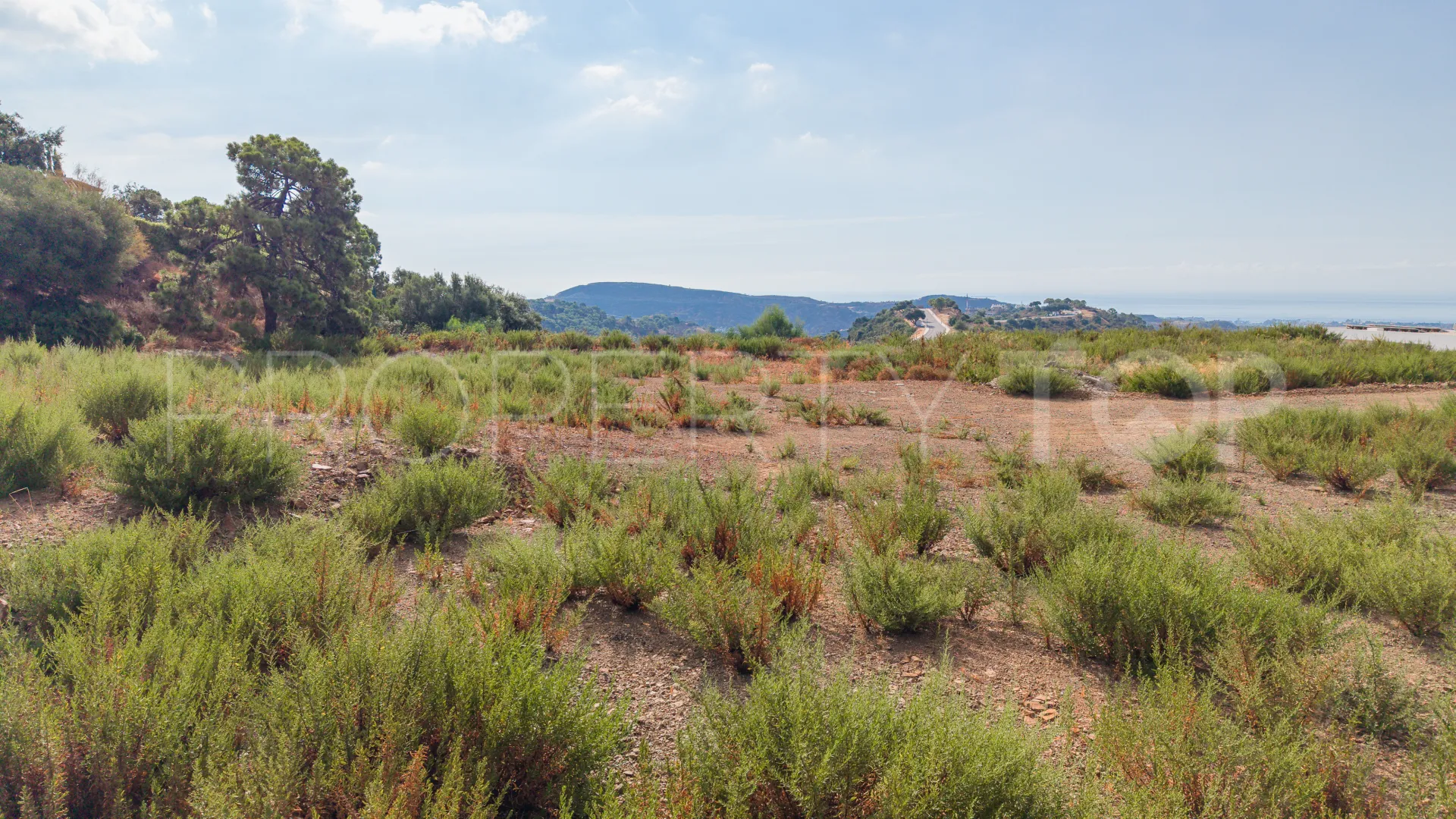 For sale Benahavis plot
