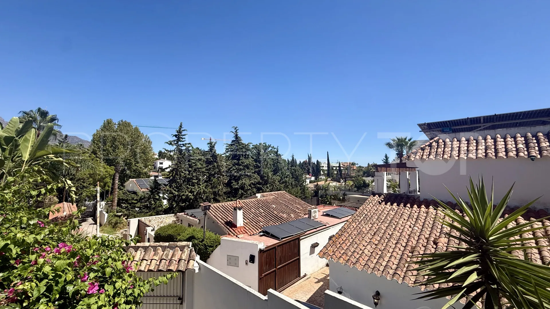Buy villa in Nueva Andalucia
