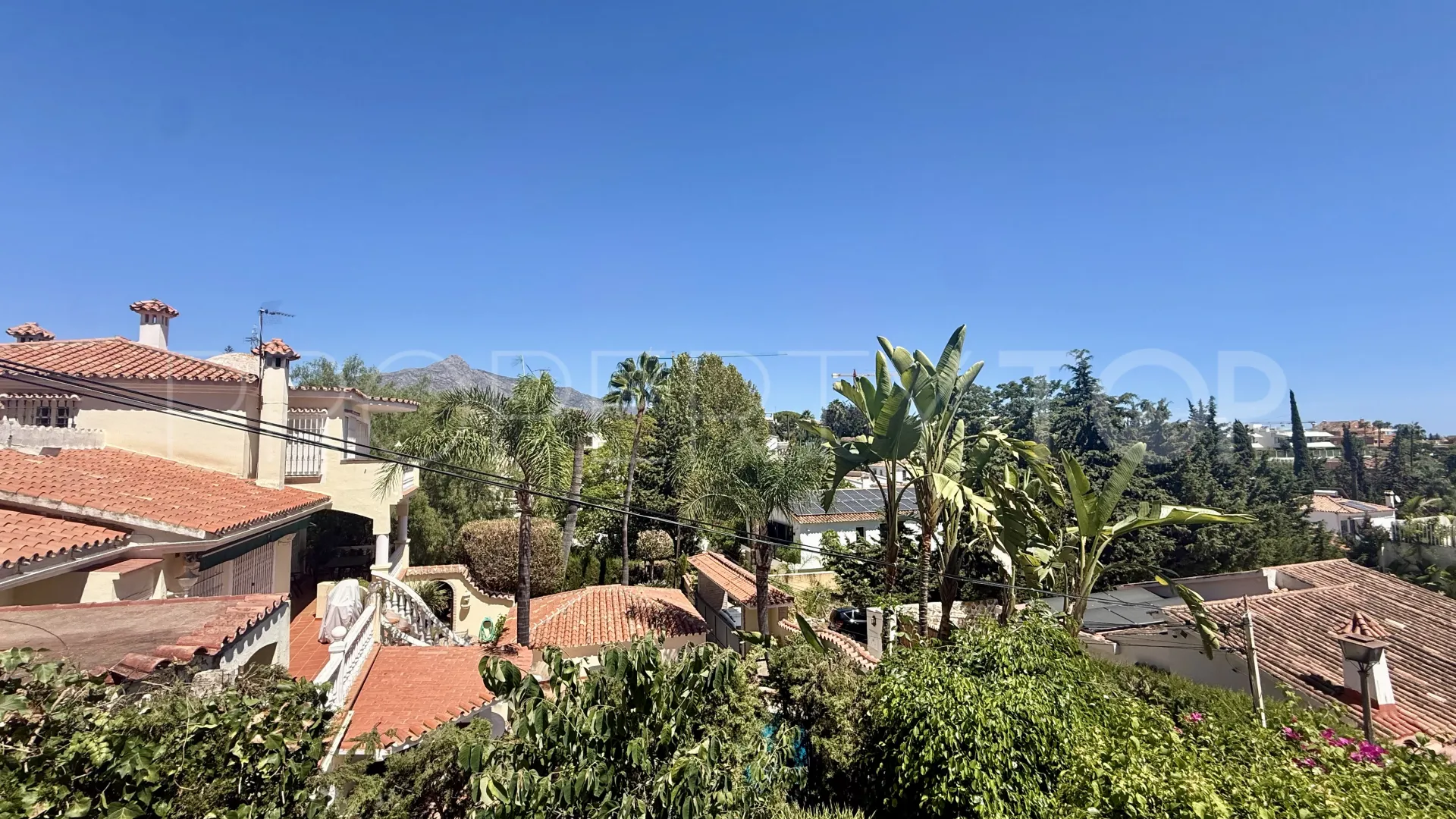 Buy villa in Nueva Andalucia