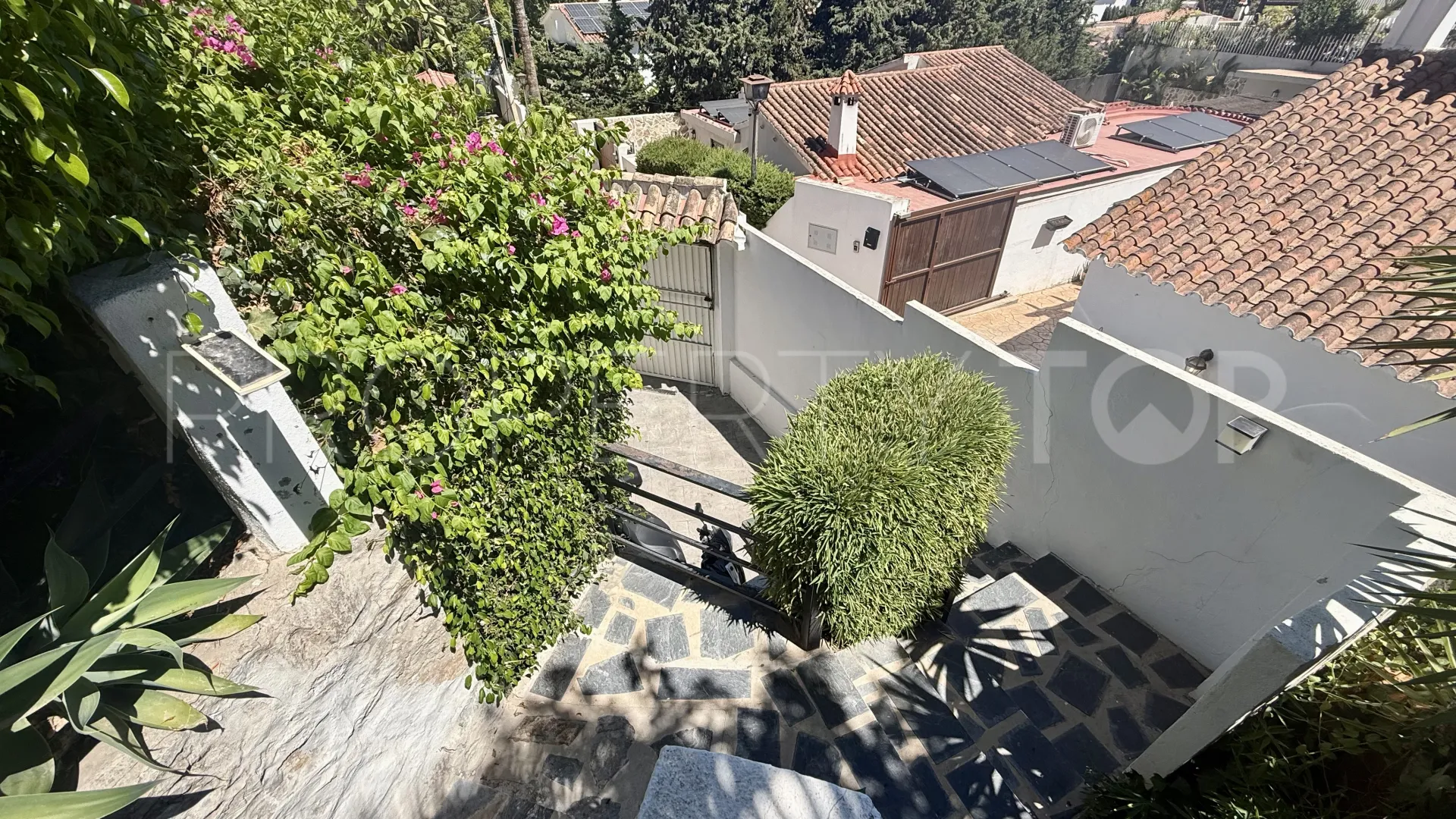 Buy villa in Nueva Andalucia