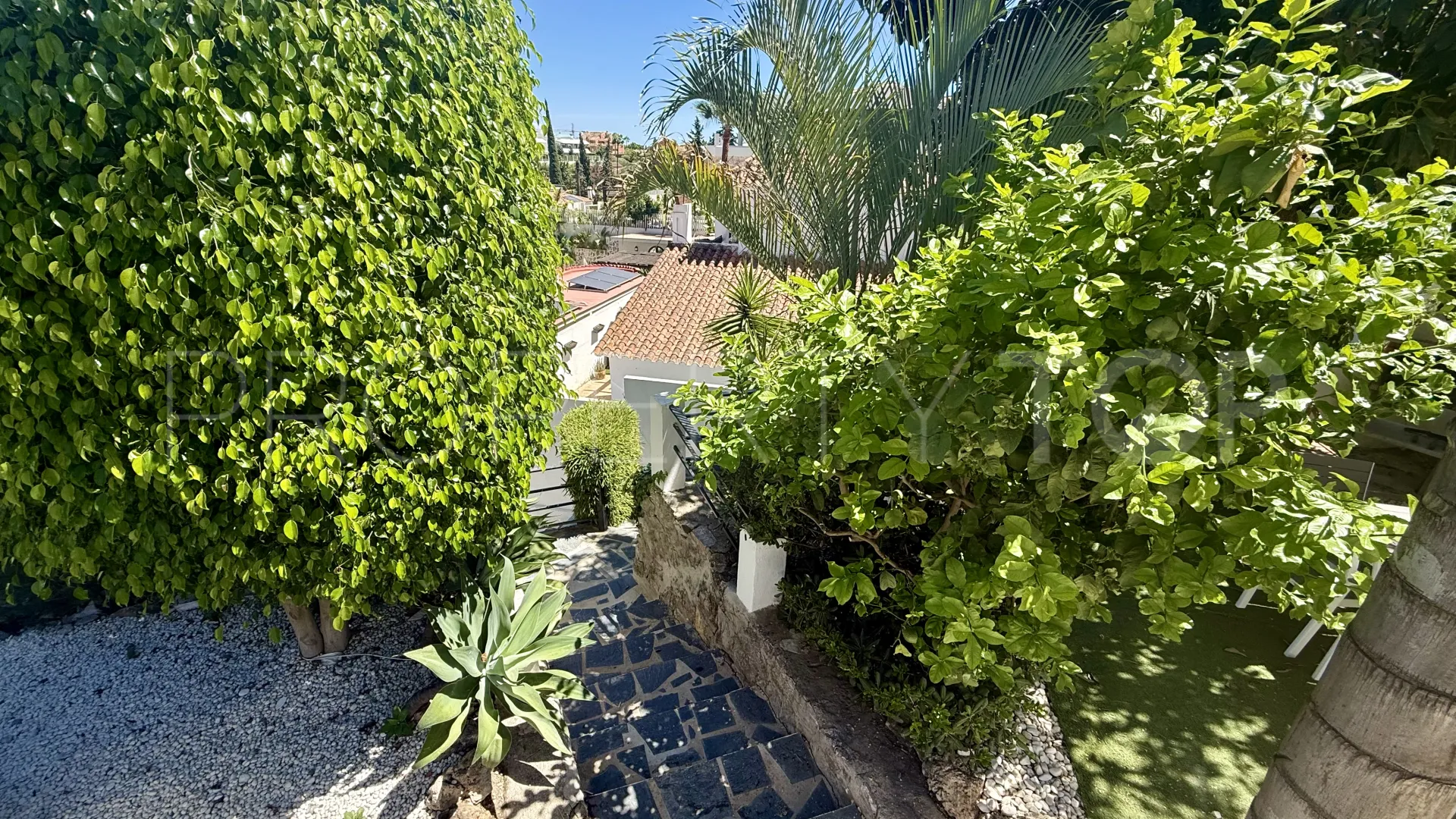 Buy villa in Nueva Andalucia