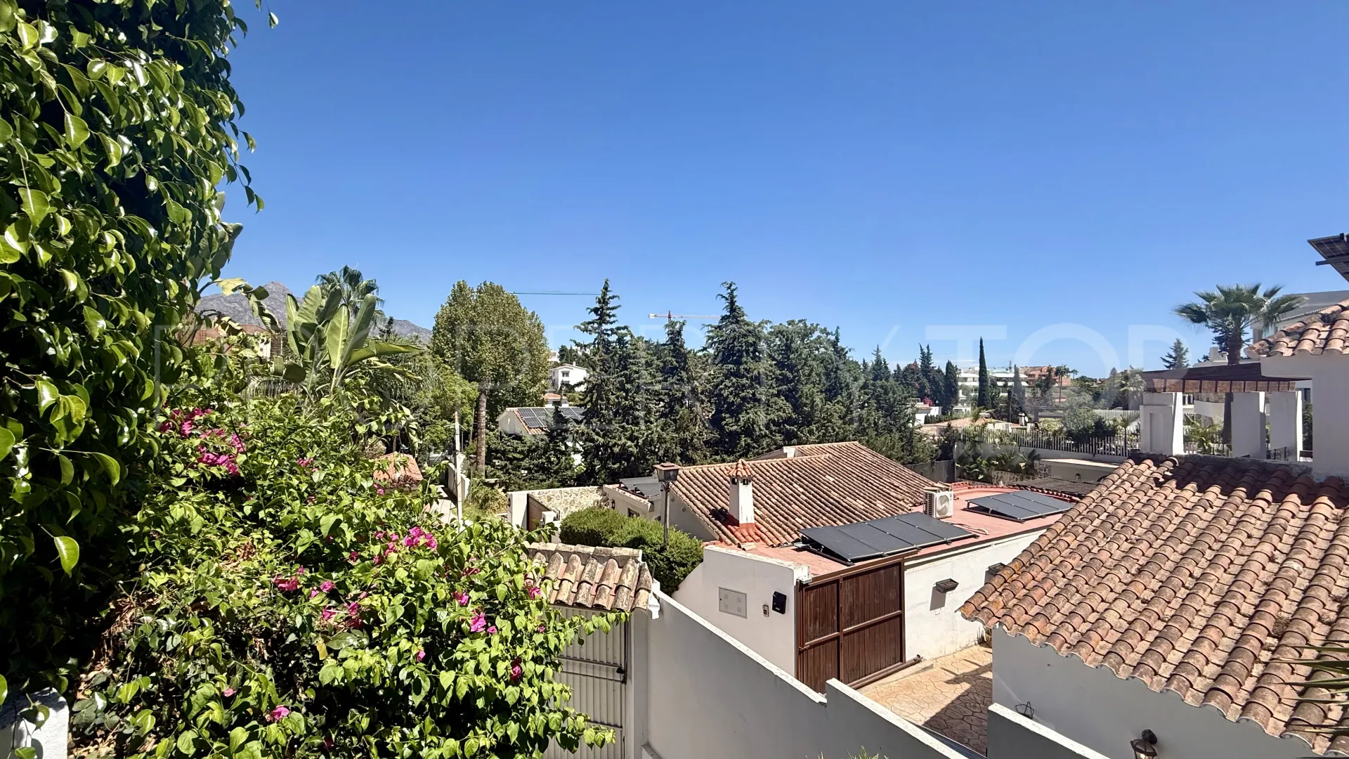 Buy villa in Nueva Andalucia
