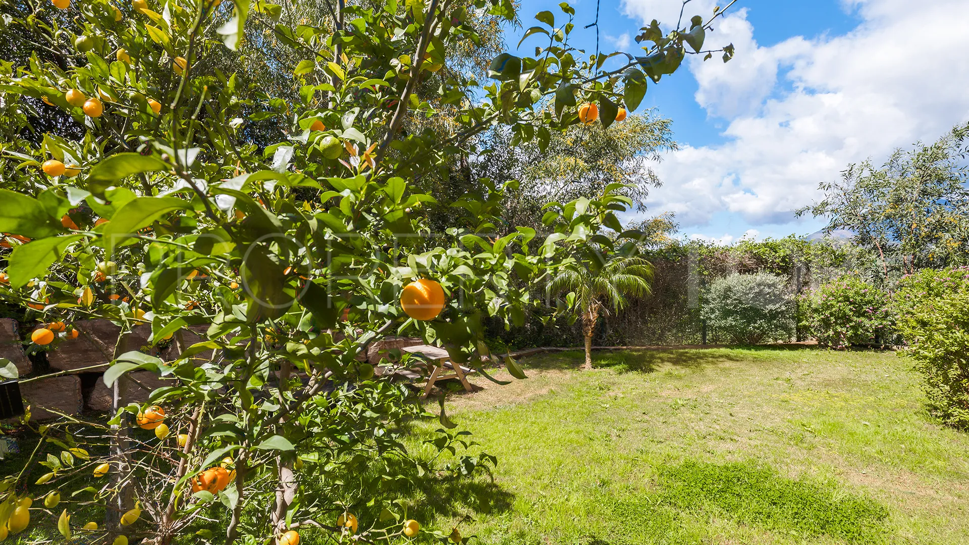 For sale apartment in Benahavis