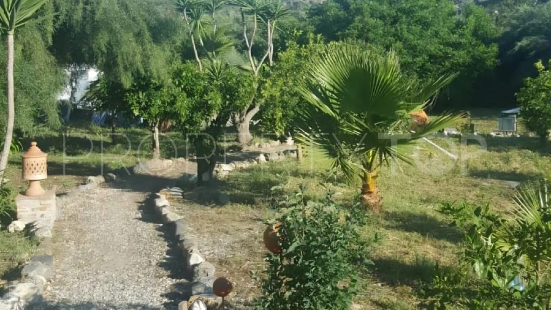 Coin 4 bedrooms finca for sale