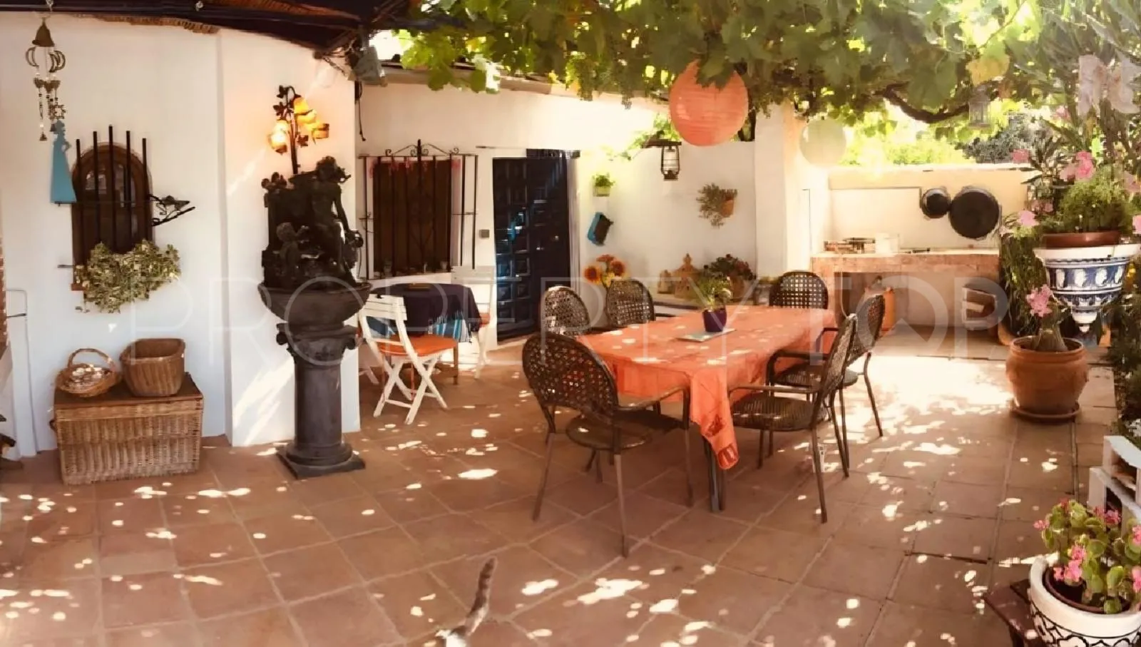 Coin 4 bedrooms finca for sale