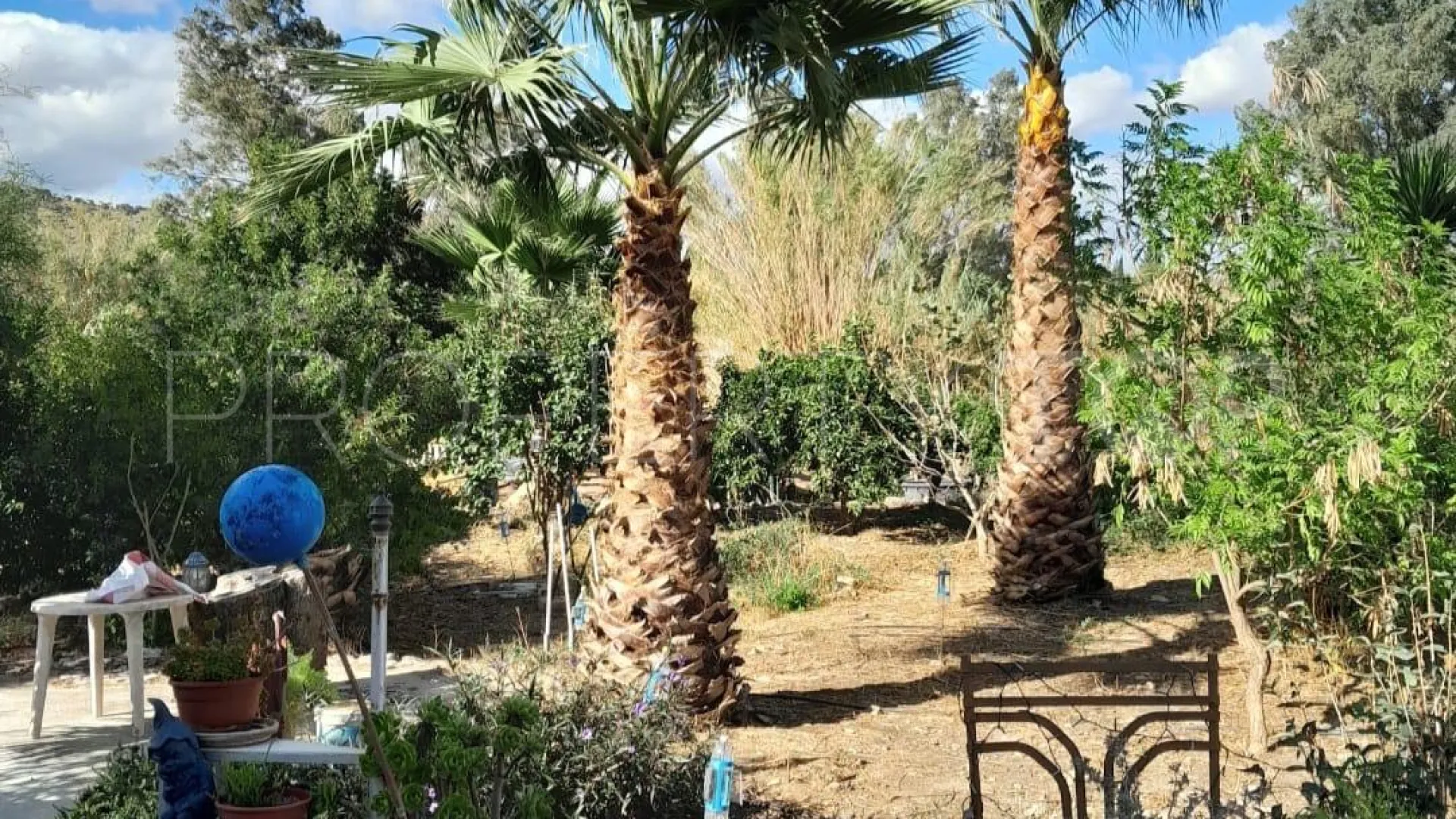 Coin 4 bedrooms finca for sale