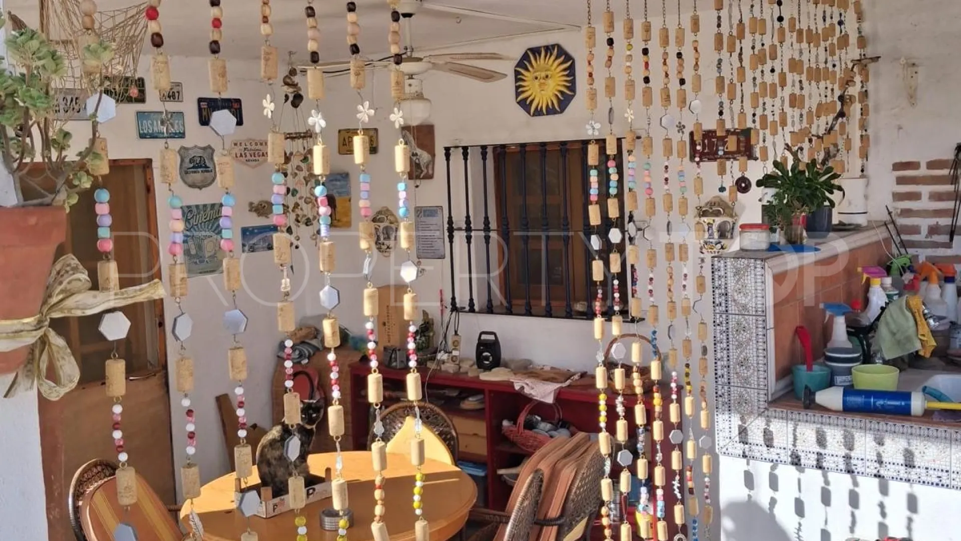 Coin 4 bedrooms finca for sale