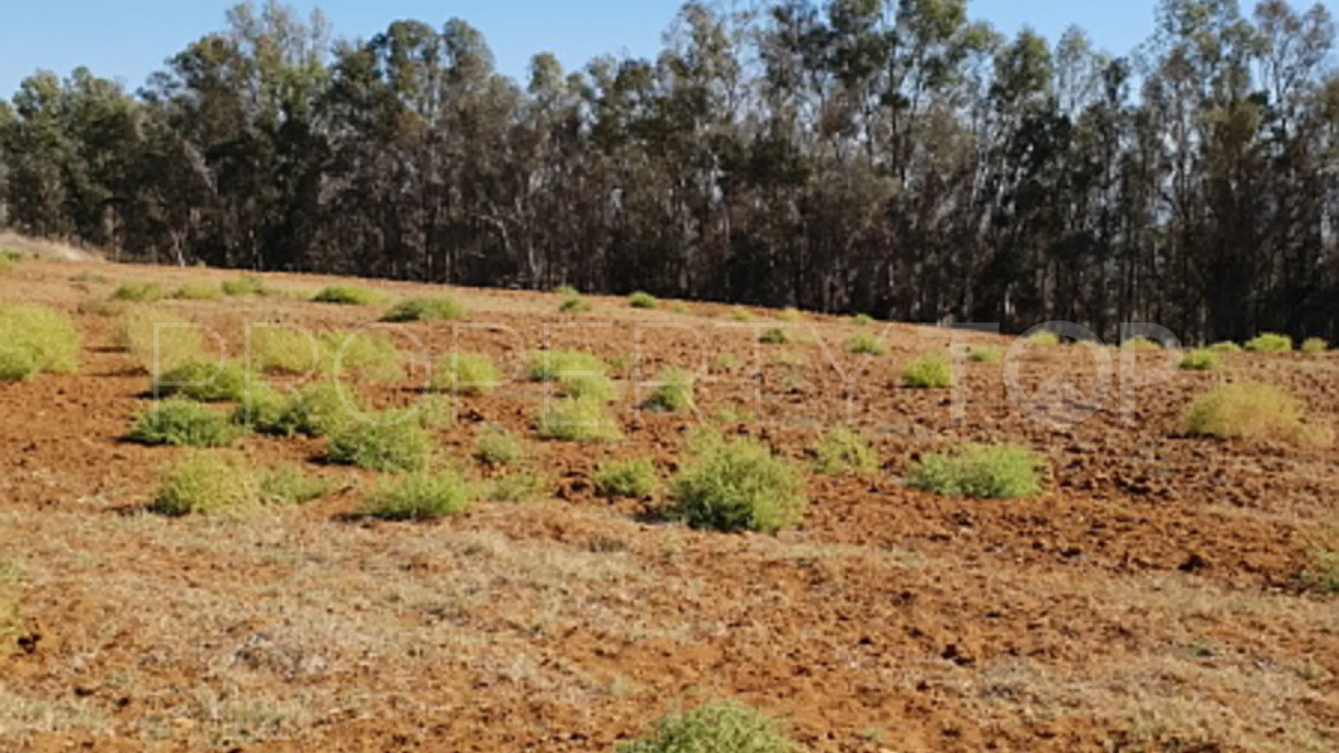 Plot in Arcos de la Frontera for sale