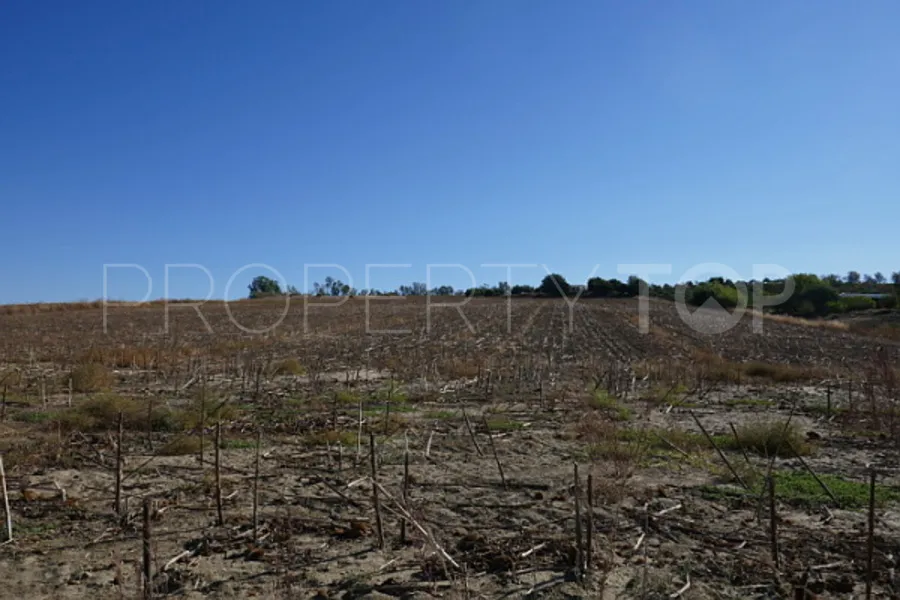 Plot in Arcos de la Frontera for sale