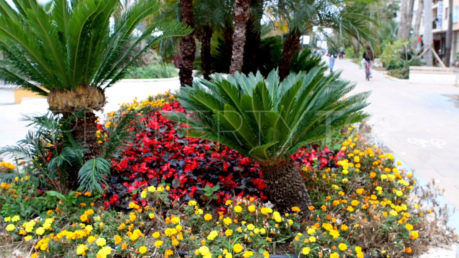 For sale apartment in Estepona with 3 bedrooms