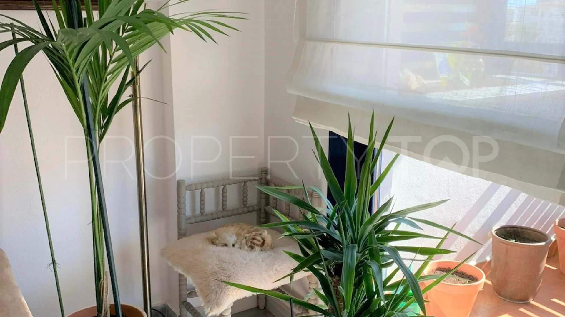 Ático en venta en Estepona Puerto