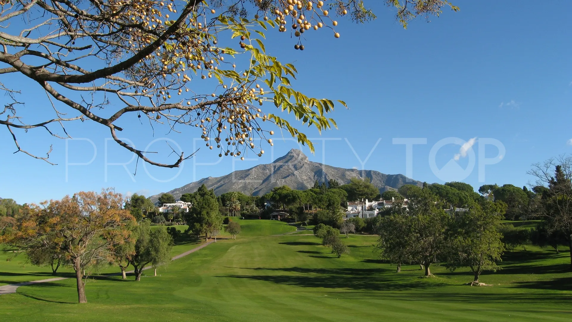 Villa en venta en El Madroñal