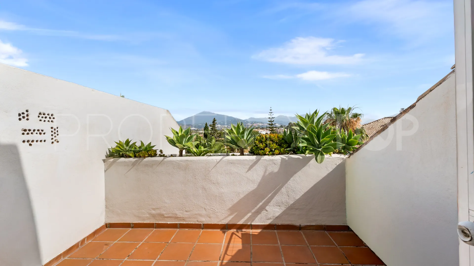 Atico duplex en venta en Guadalmina Baja