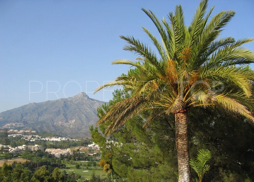 Marbella Ciudad, parcela a la venta