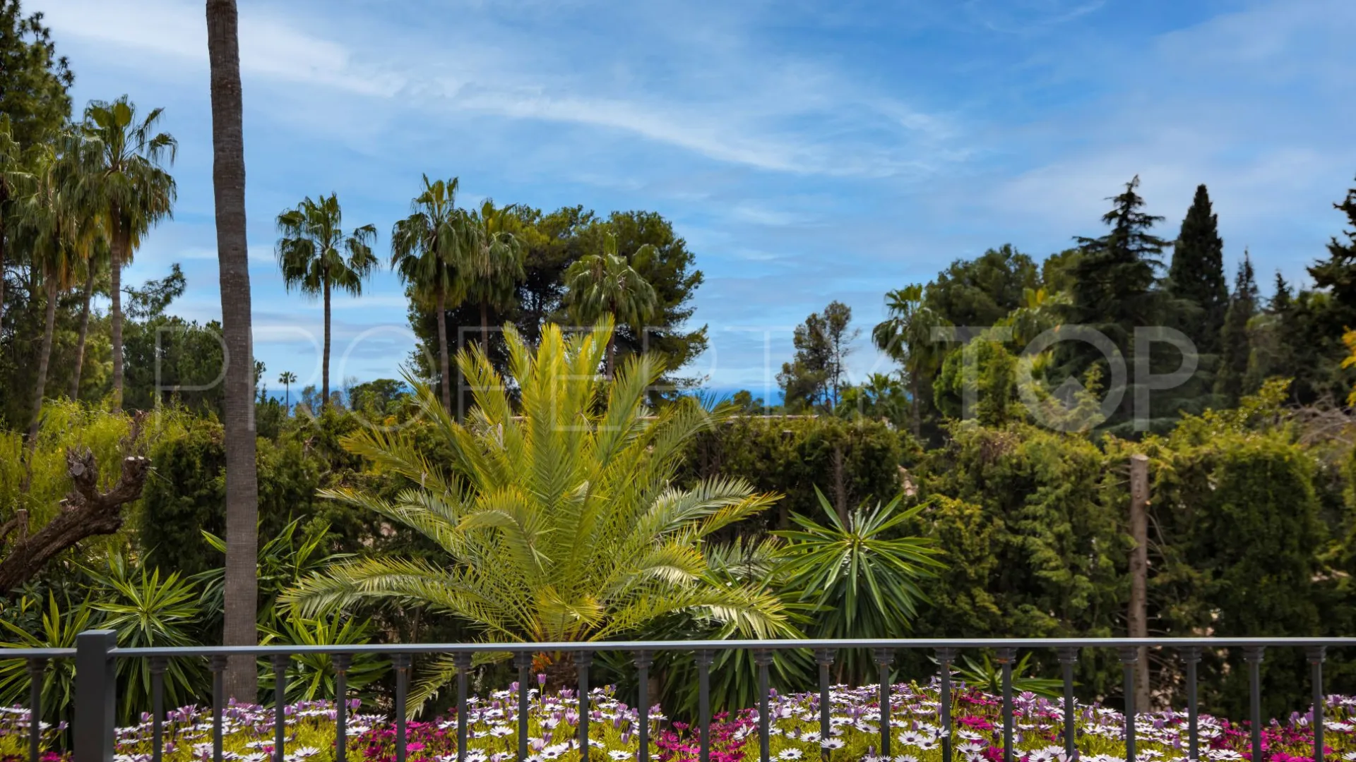 Buy Marbella Golden Mile villa with 5 bedrooms