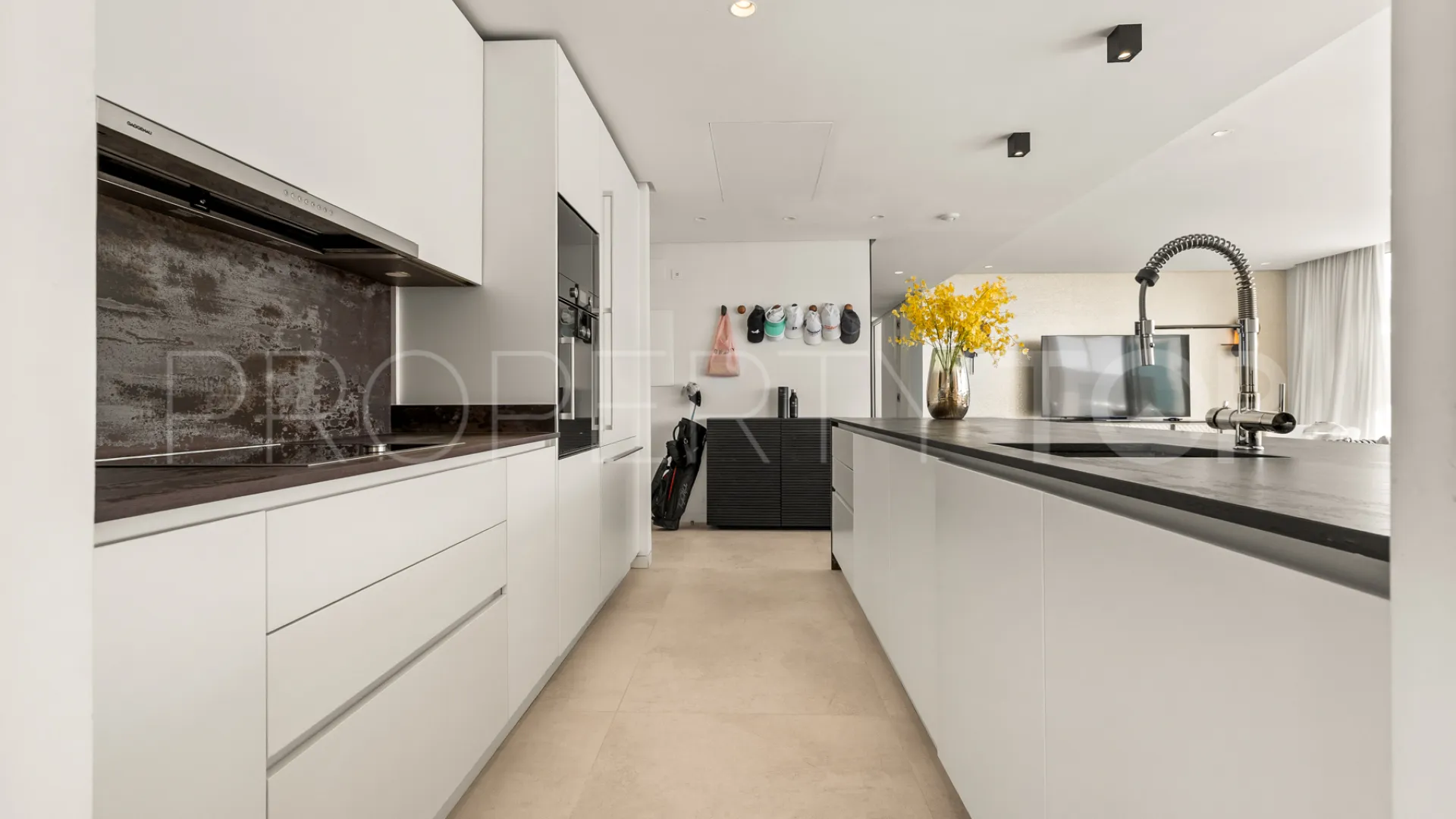 For sale Palo Alto duplex penthouse