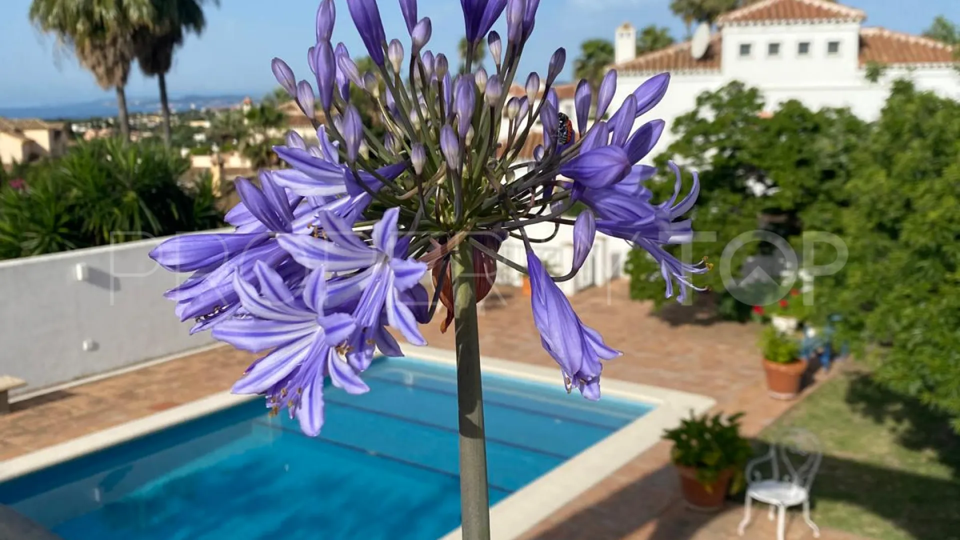 For sale Puerto Romano 4 bedrooms villa