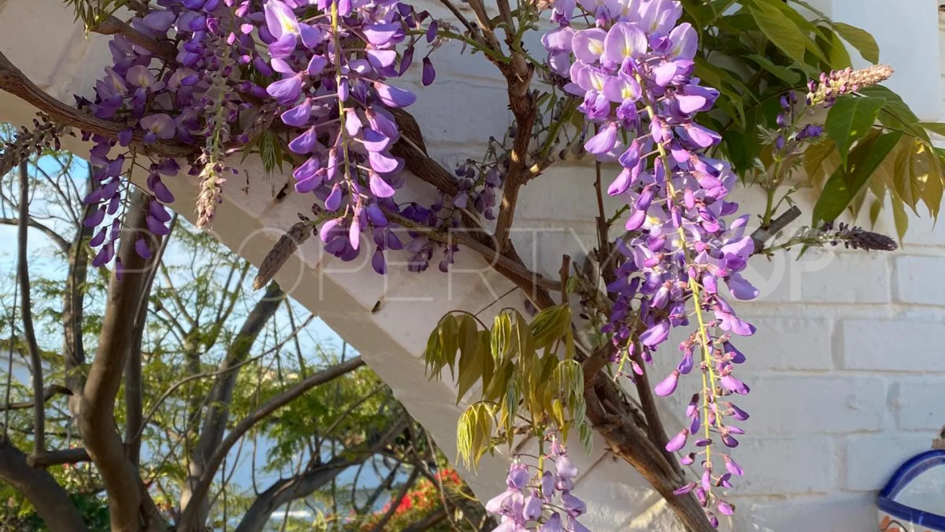 For sale Puerto Romano 4 bedrooms villa