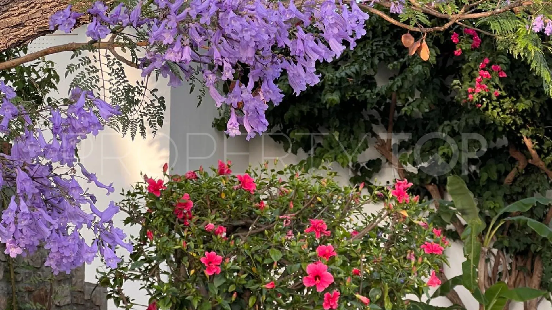 For sale Puerto Romano 4 bedrooms villa