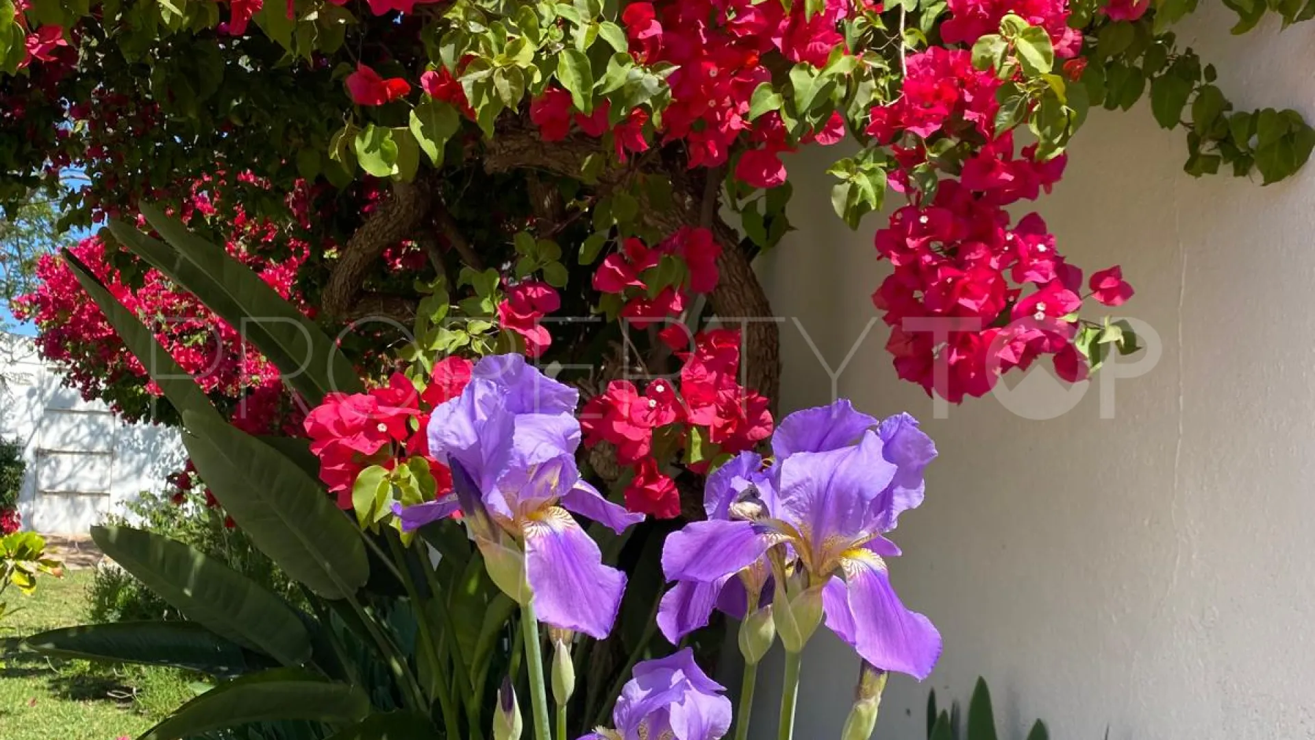 For sale Puerto Romano 4 bedrooms villa