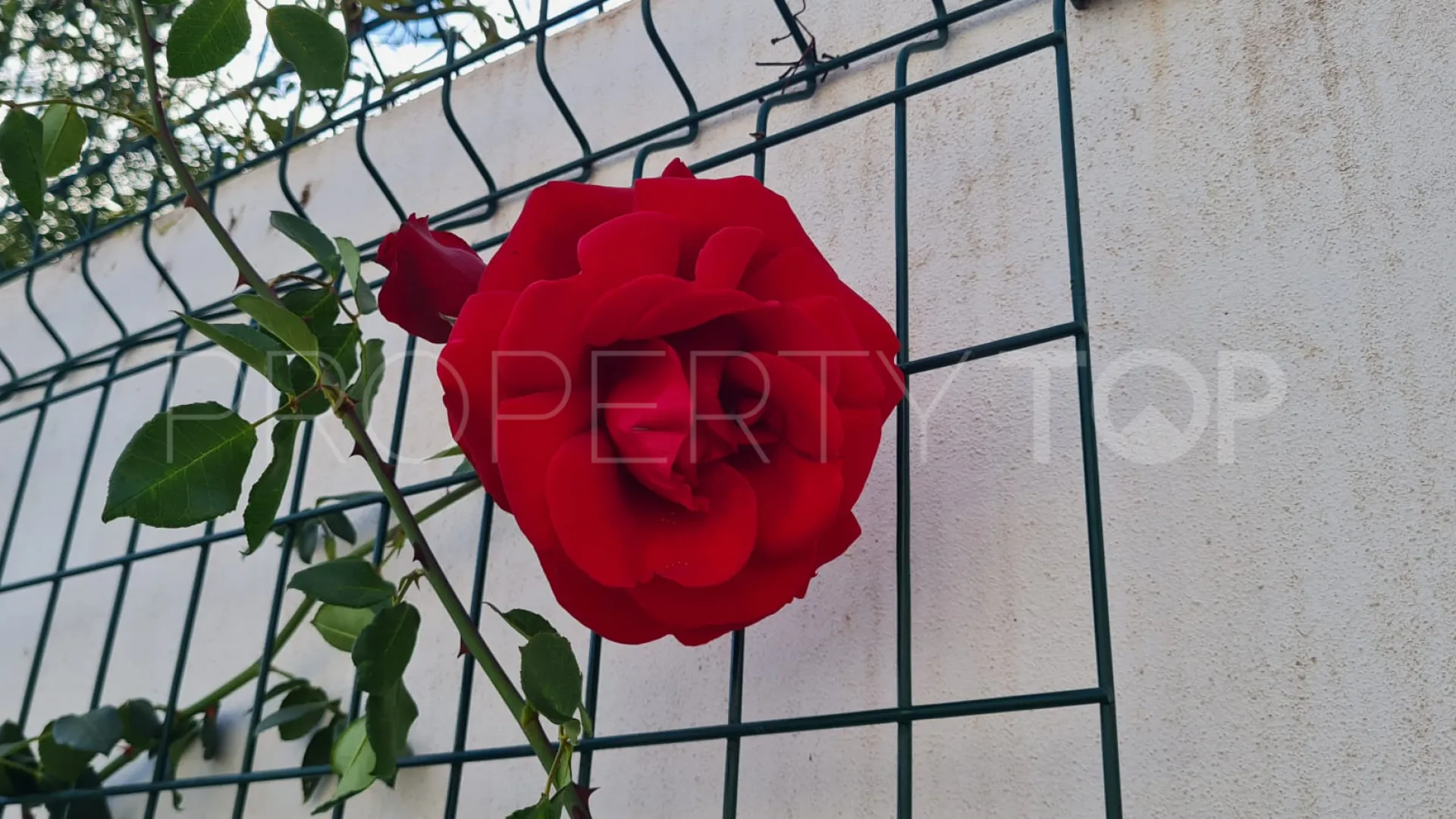 For sale Puerto Romano 4 bedrooms villa