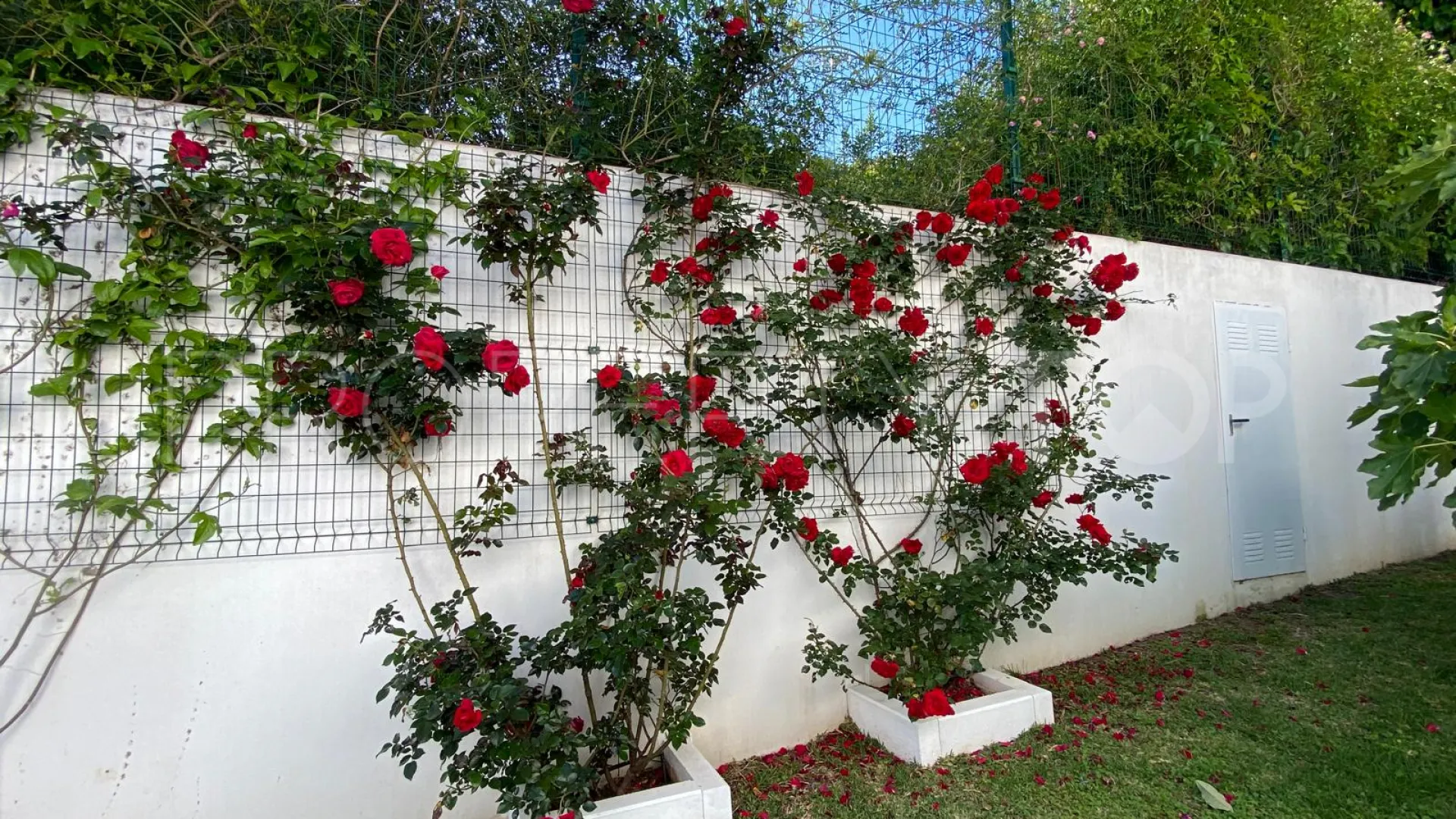 For sale Puerto Romano 4 bedrooms villa