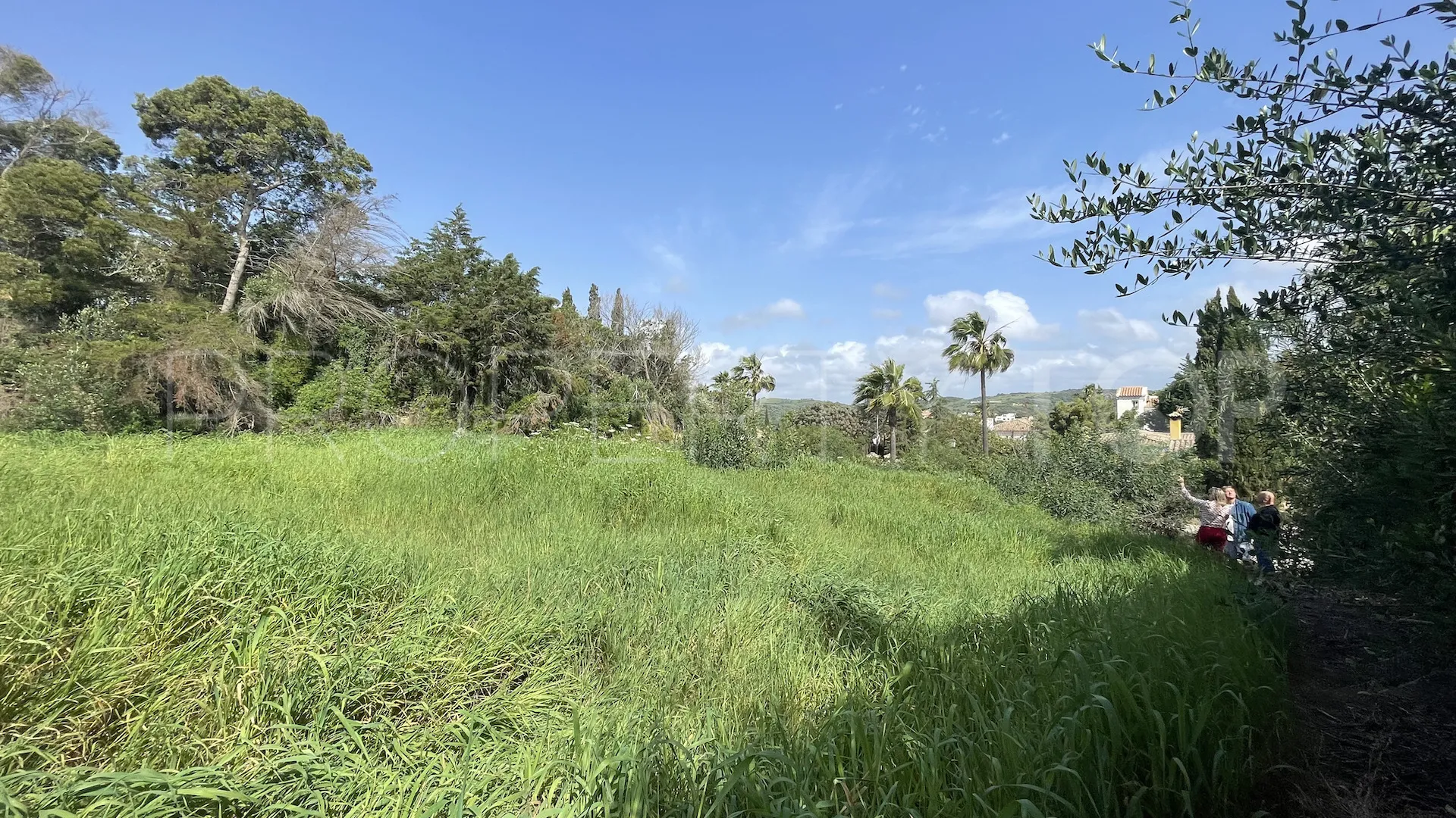 For sale plot in Sotogrande Alto