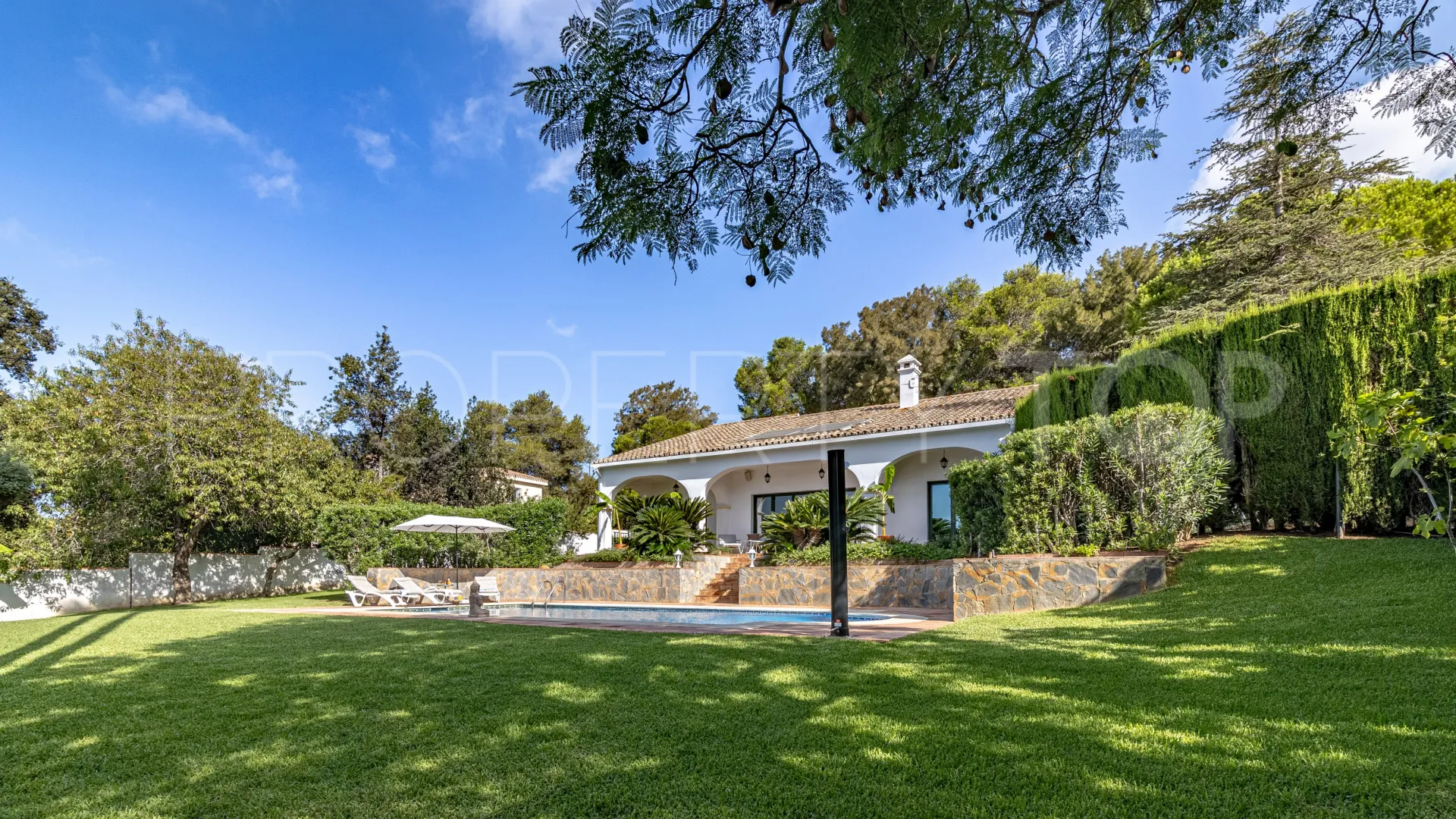 Buy villa in Sotogrande Alto