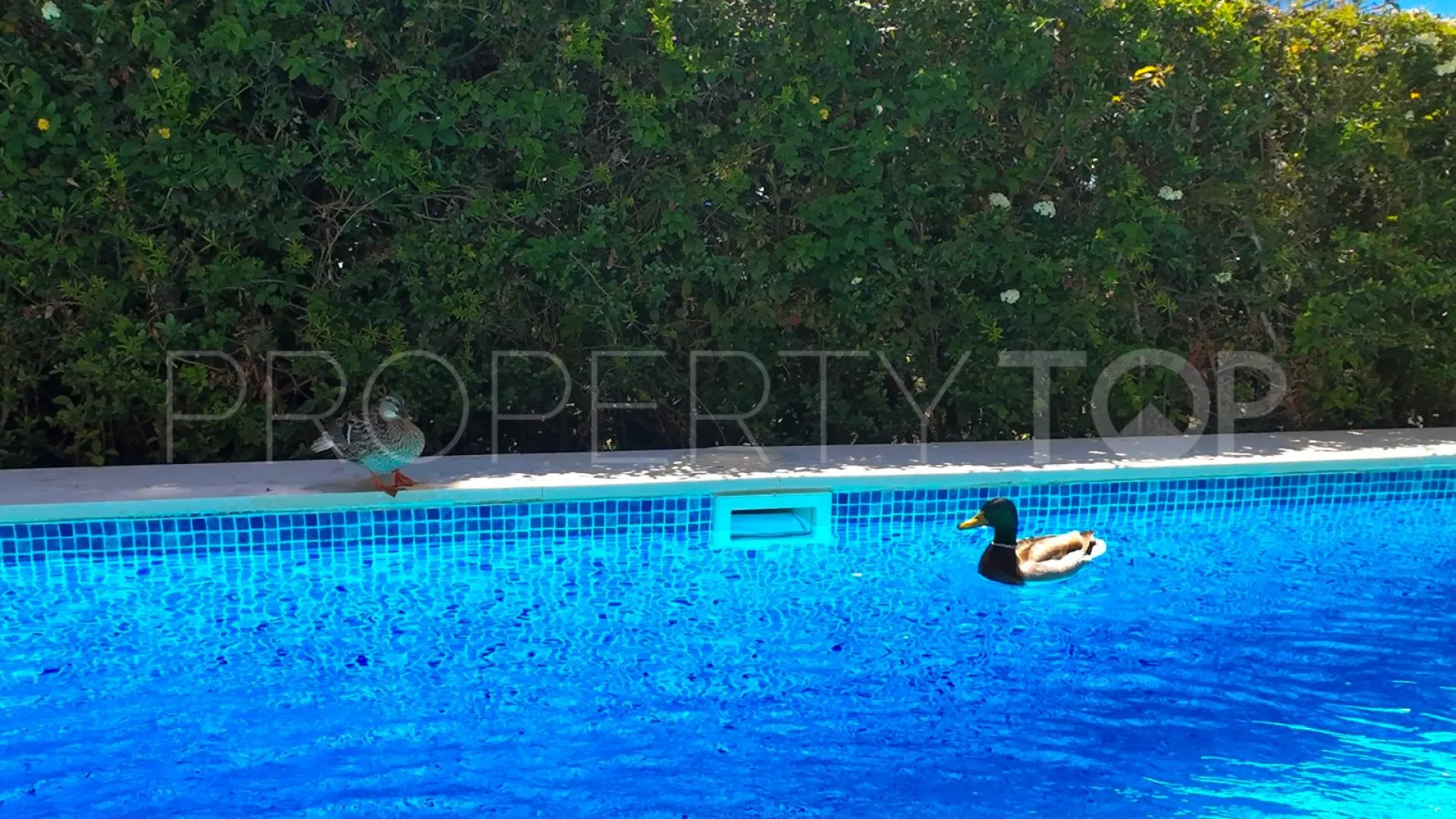 Villa in Nueva Atalaya for sale