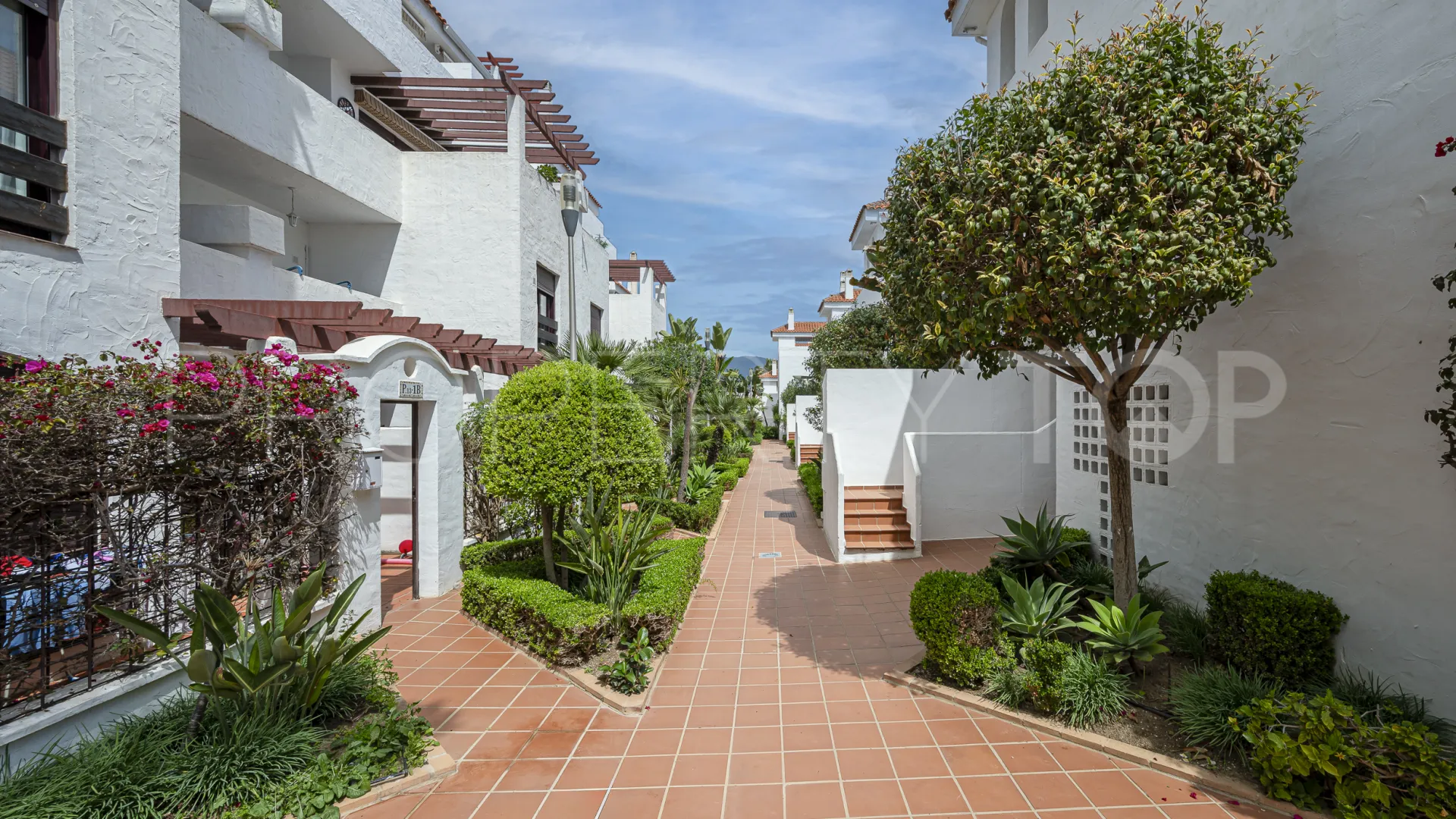 Comprar apartamento en Nueva Andalucia