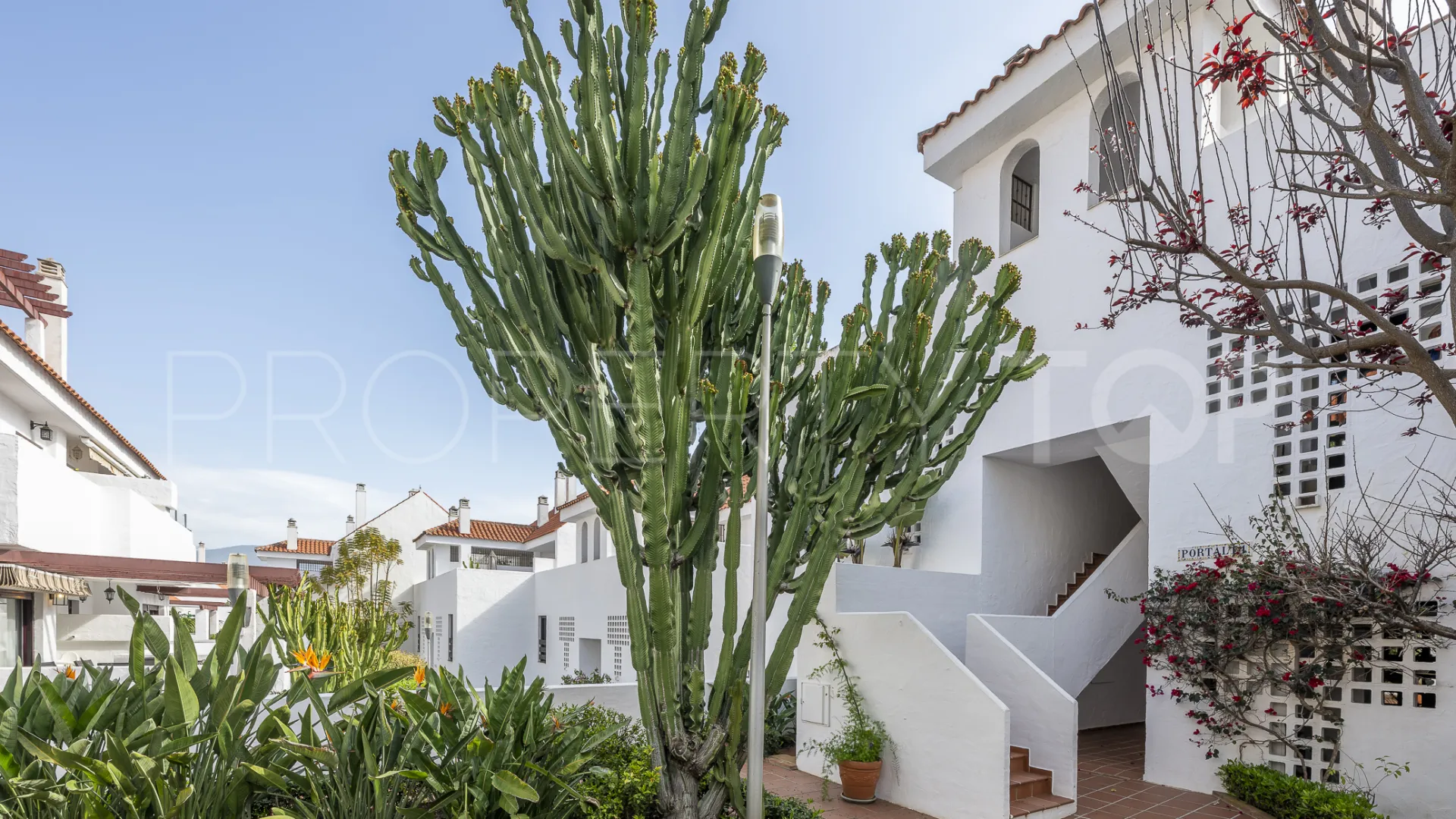 Comprar apartamento en Nueva Andalucia