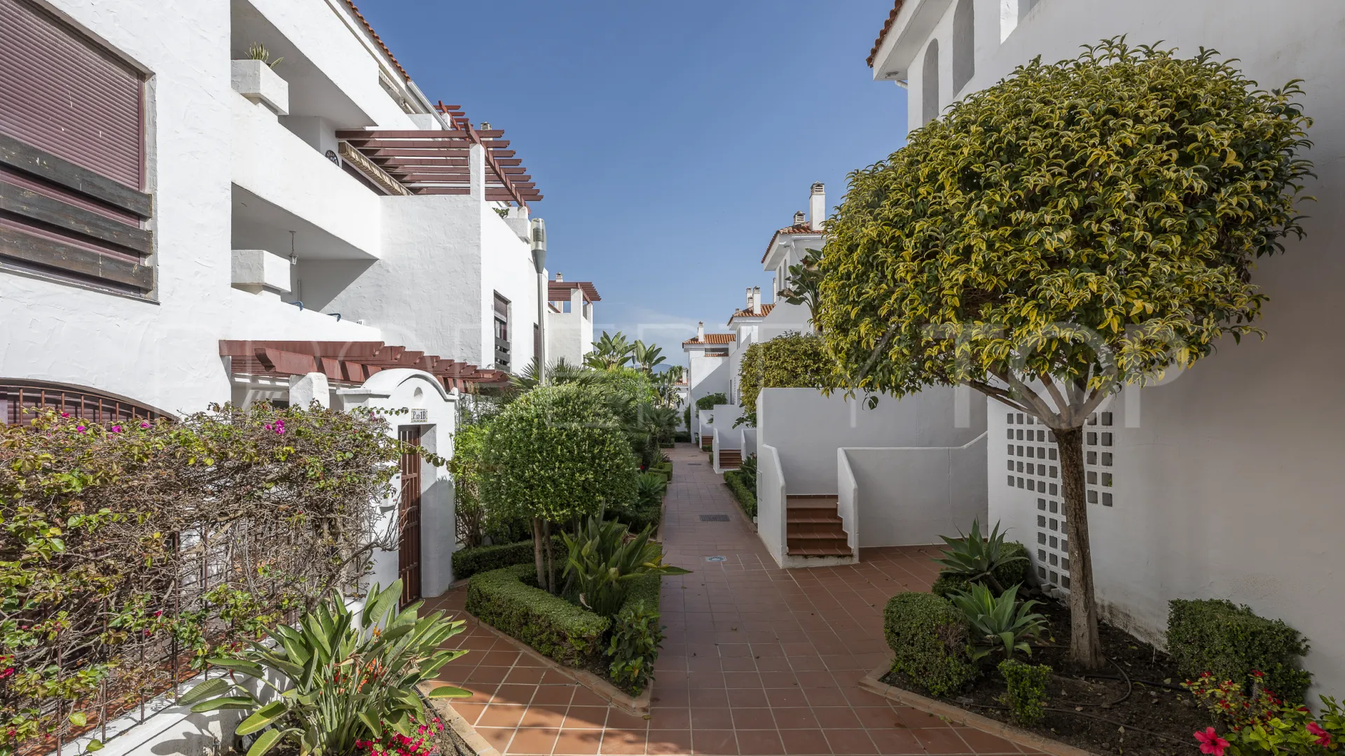 Comprar apartamento en Nueva Andalucia