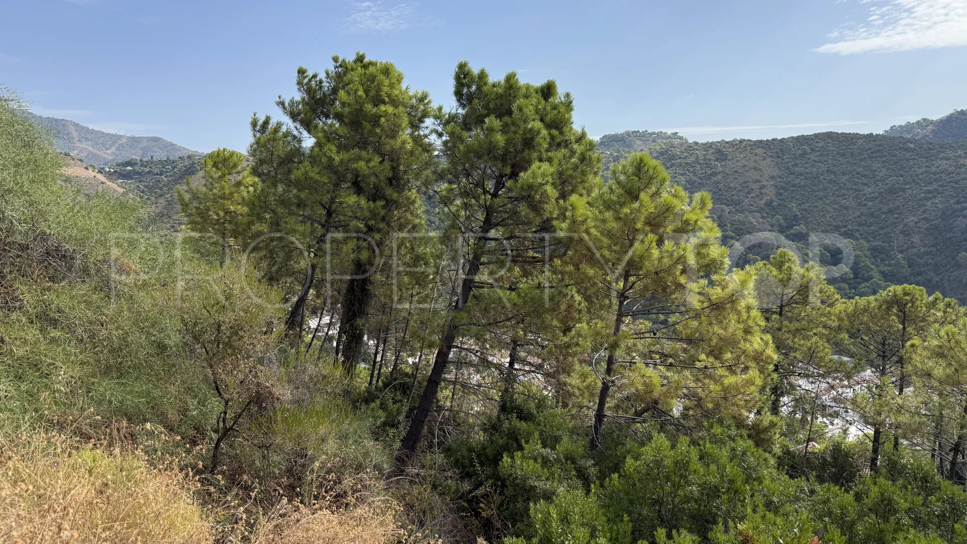 Plot for sale in Benahavis Centro