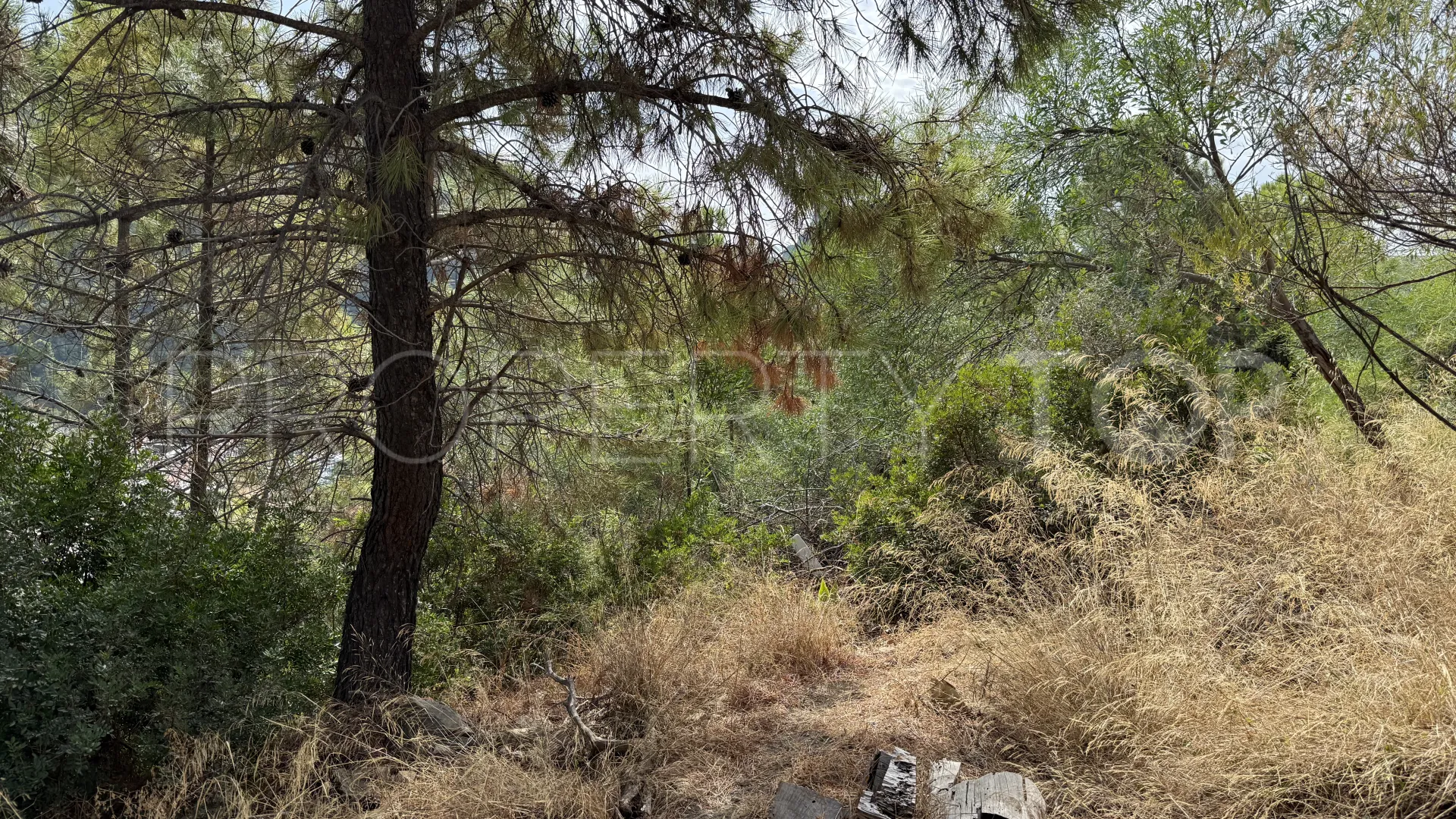 Plot for sale in Benahavis Centro