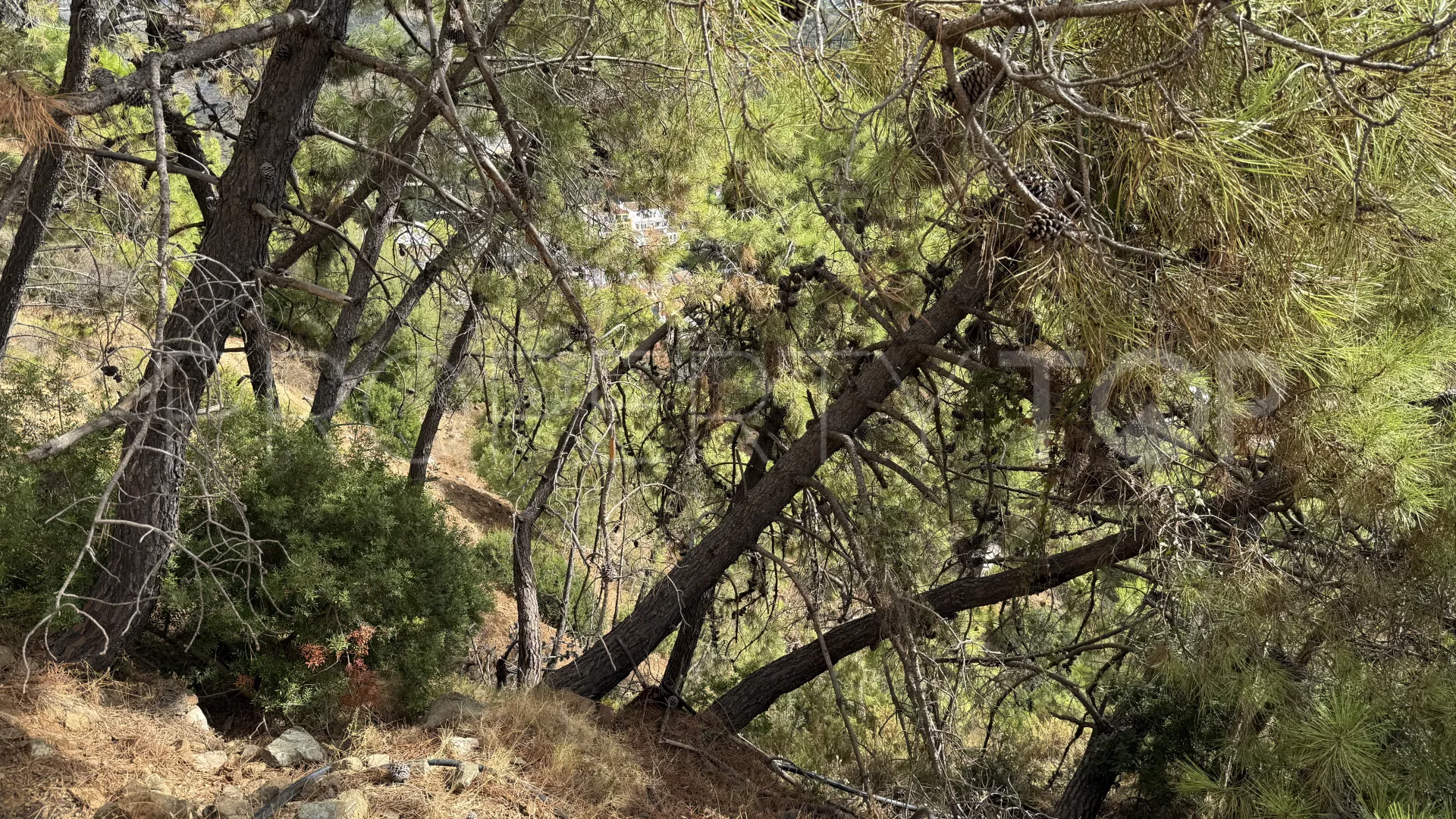 Plot for sale in Benahavis Centro