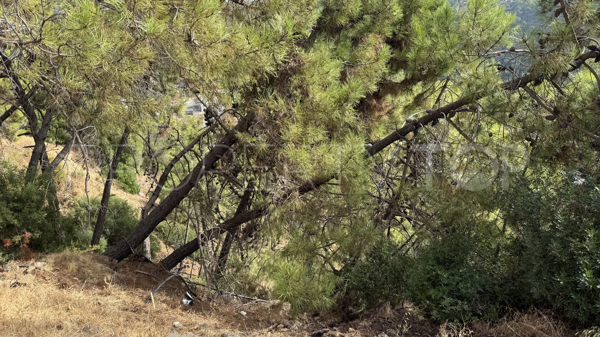 Plot for sale in Benahavis Centro