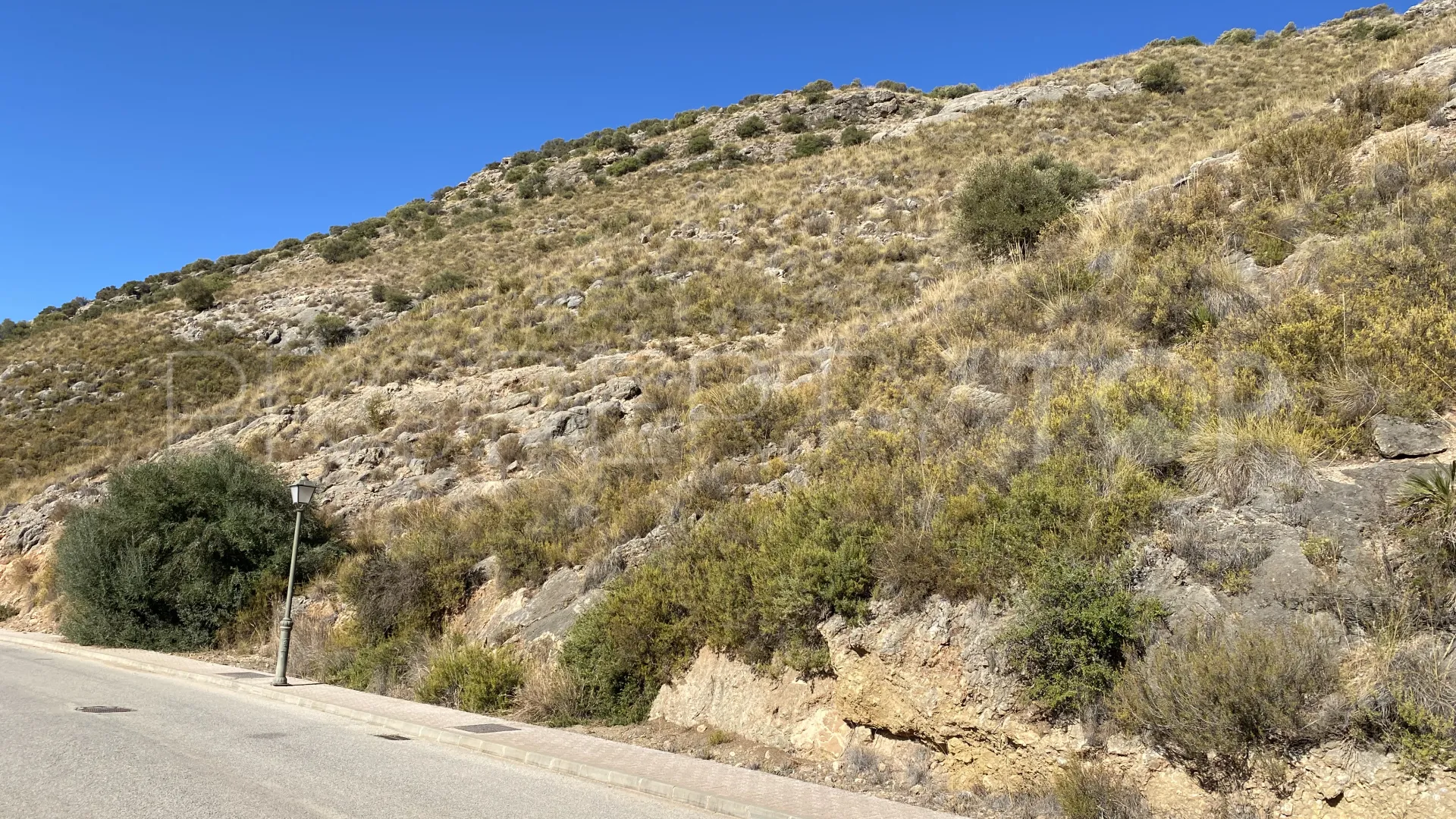 Plot for sale in Sierra Gorda