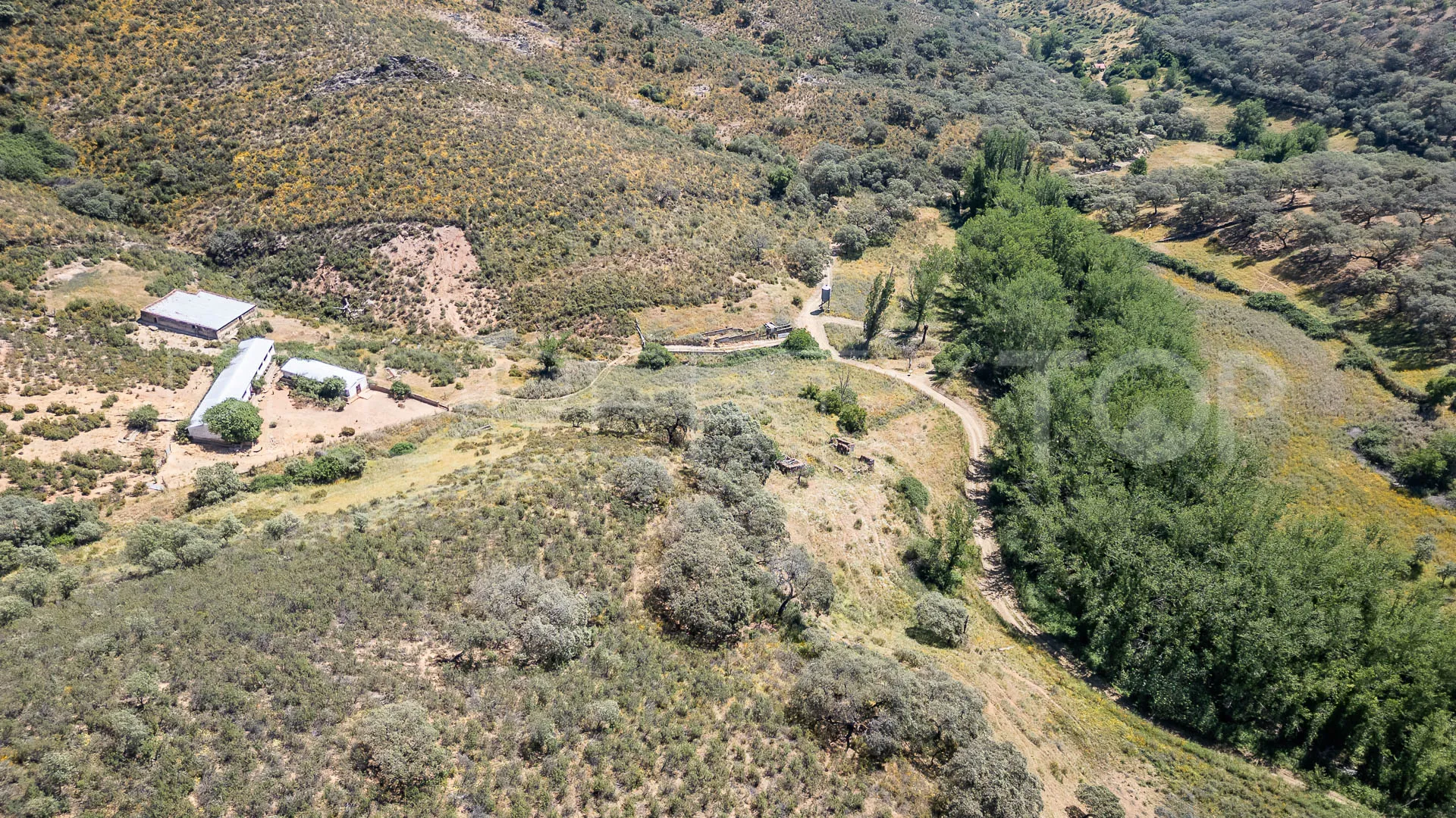 Aracena 8 bedrooms cortijo for sale