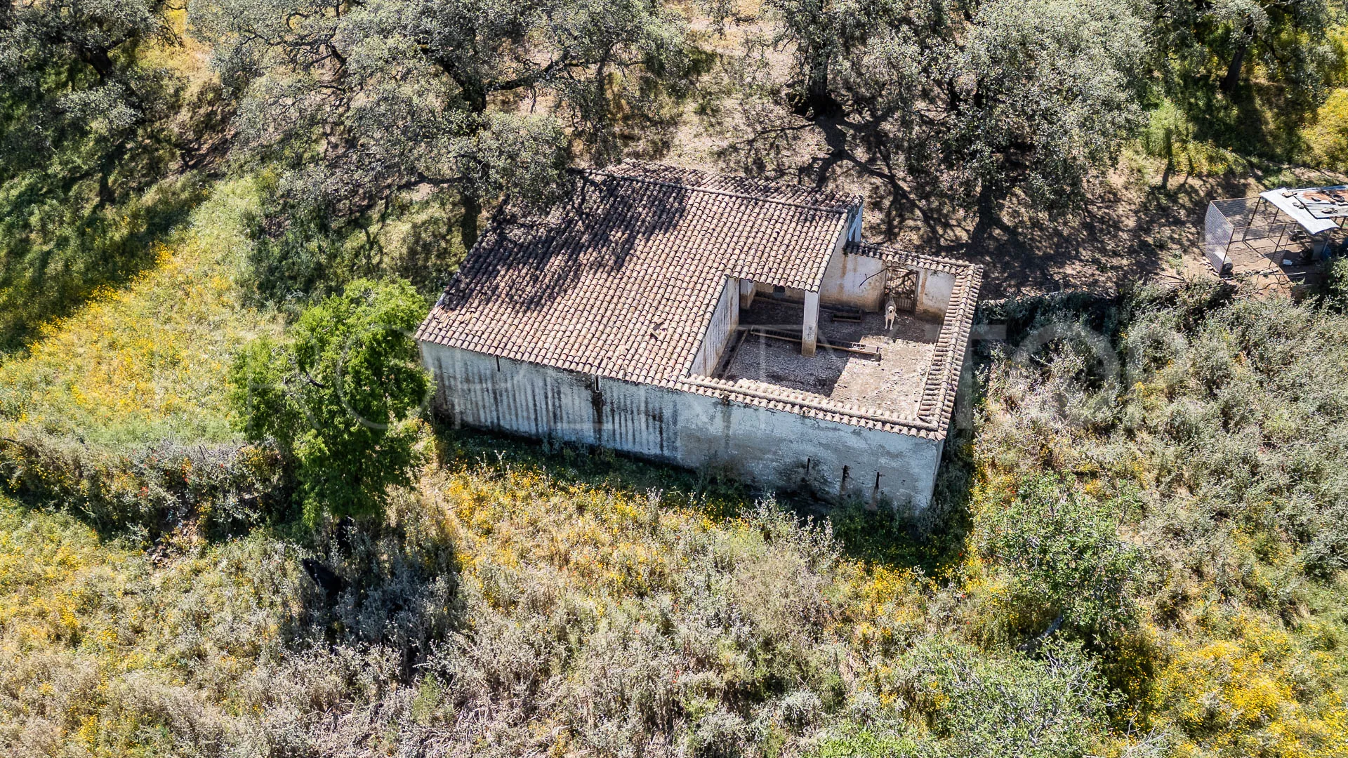 Aracena 8 bedrooms cortijo for sale