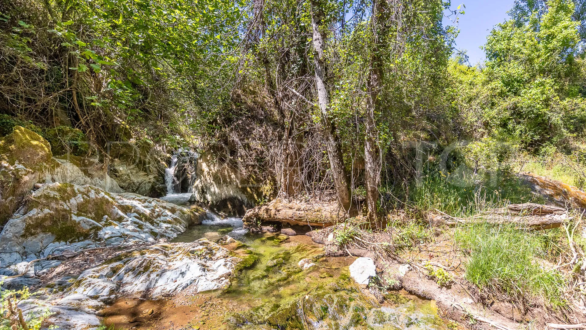 Aracena 8 bedrooms cortijo for sale