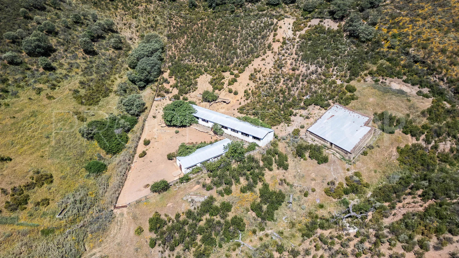 Aracena 8 bedrooms cortijo for sale