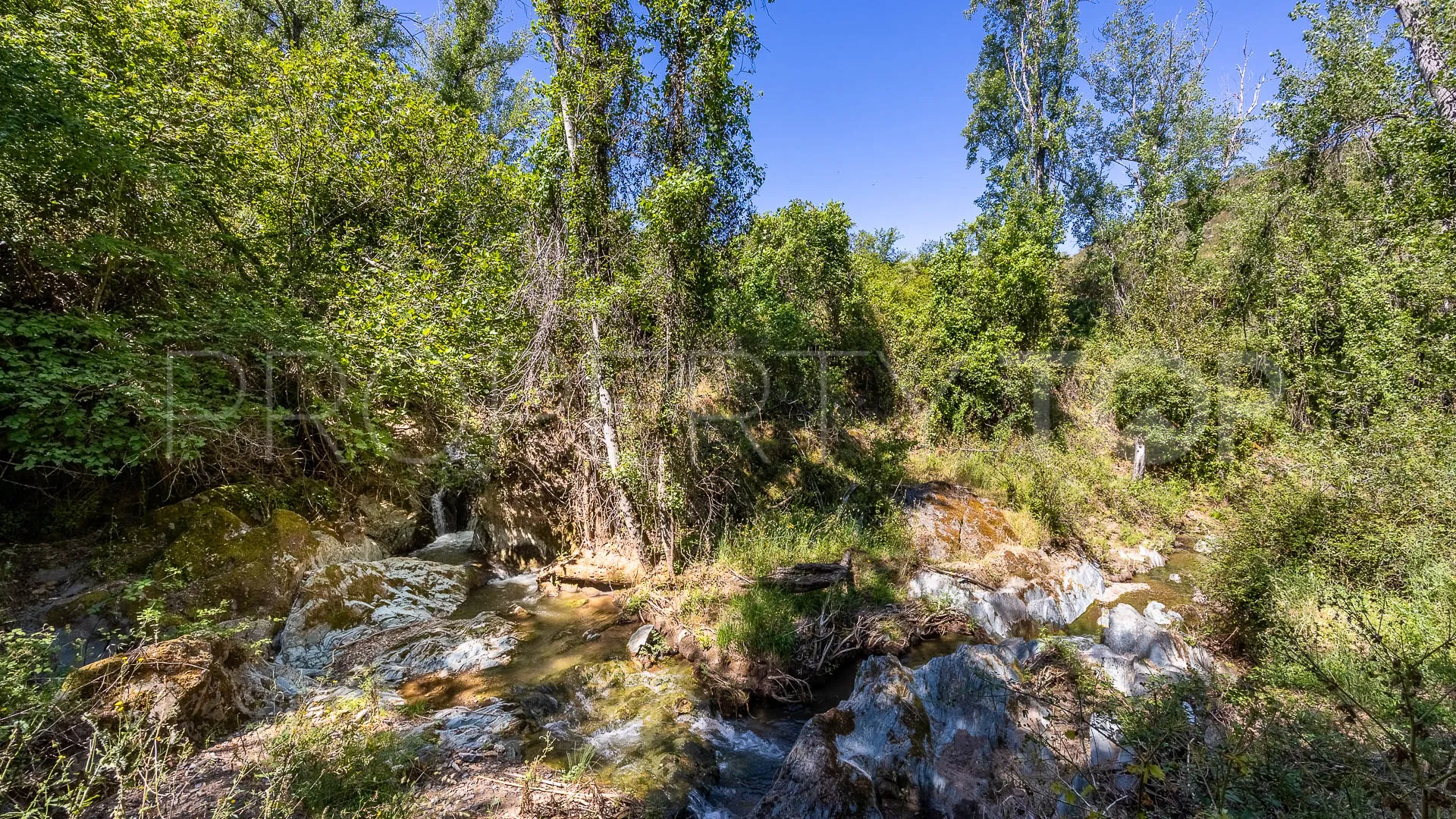 Aracena 8 bedrooms cortijo for sale