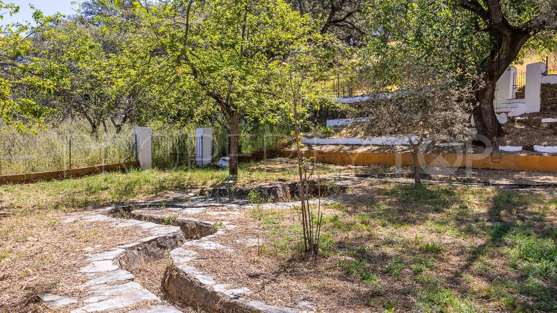 Aracena 8 bedrooms cortijo for sale