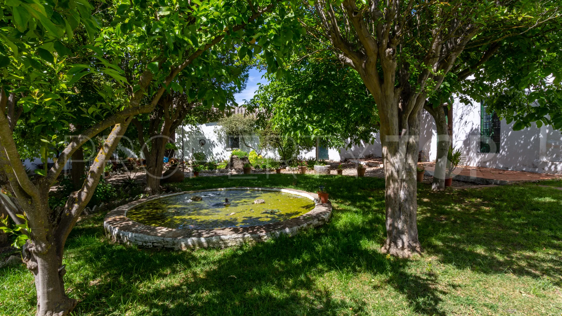 10 bedrooms cortijo for sale in Ronda