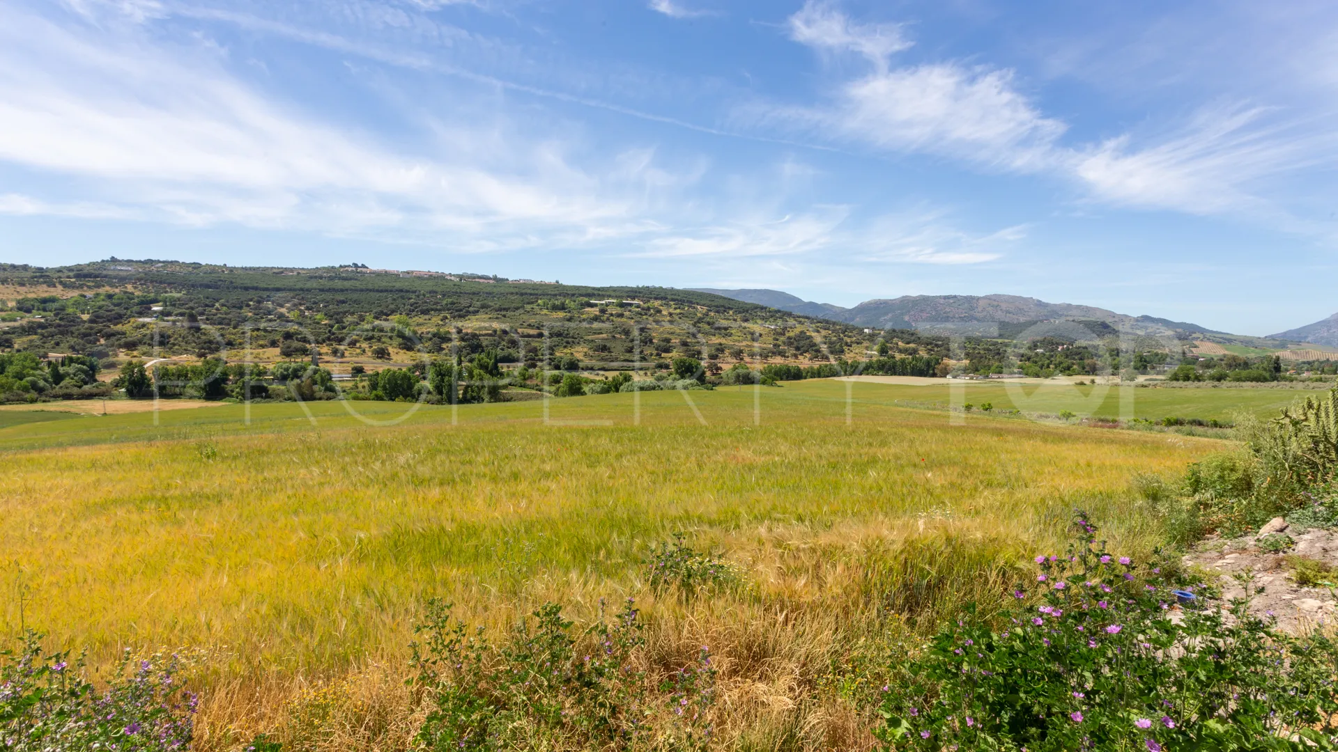 10 bedrooms cortijo for sale in Ronda