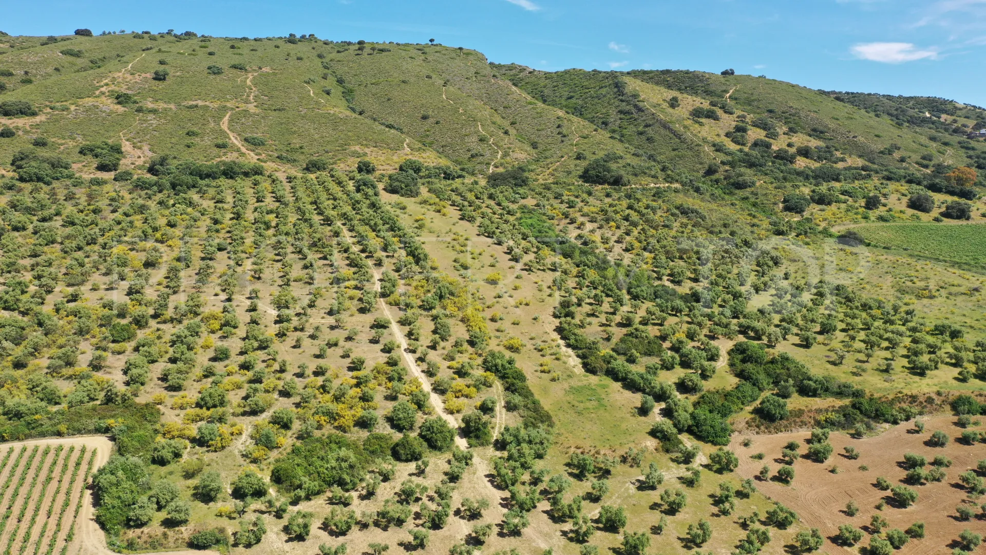 10 bedrooms cortijo for sale in Ronda