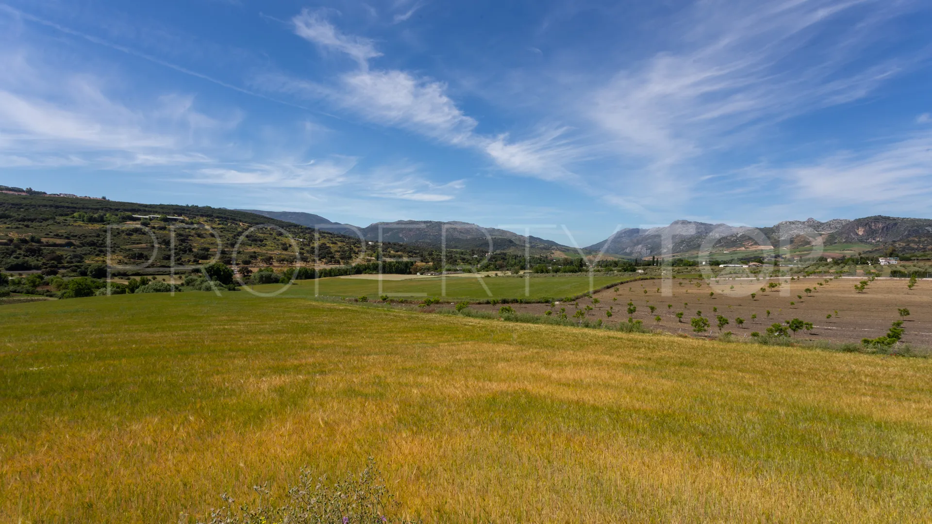 10 bedrooms cortijo for sale in Ronda