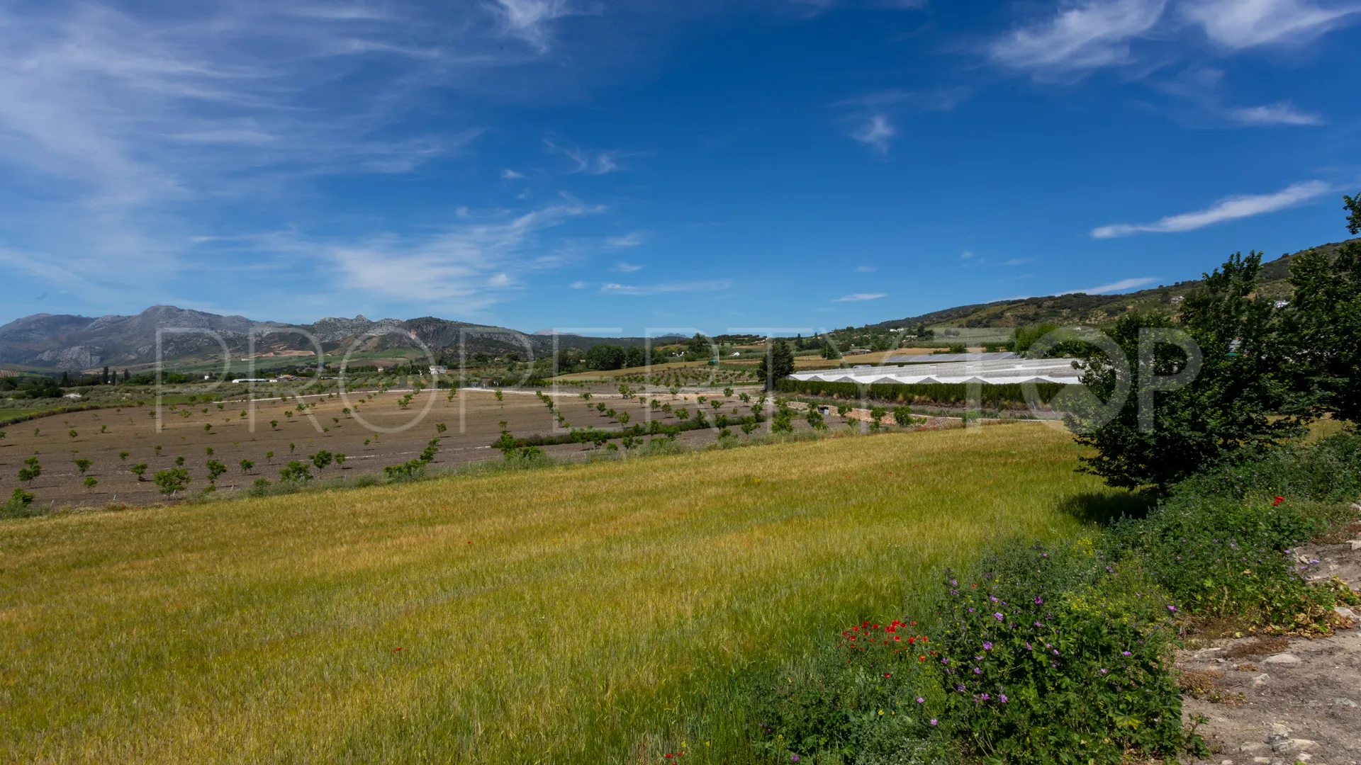 10 bedrooms cortijo for sale in Ronda