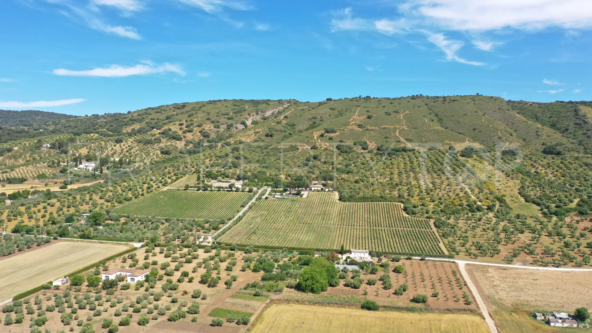 10 bedrooms cortijo for sale in Ronda